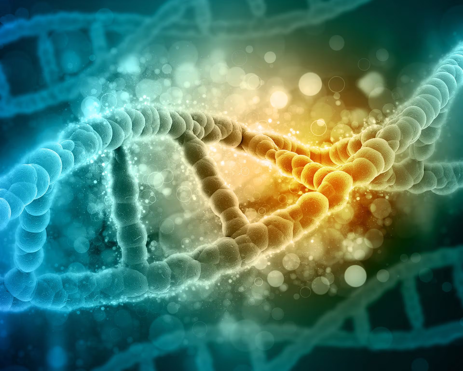 El equipo de Venter, quien fundó la empresa Celera, fue uno de los que descifró el genoma humano, el manual de instrucciones escrito en el ADN de nuestra especie. (Freepik)