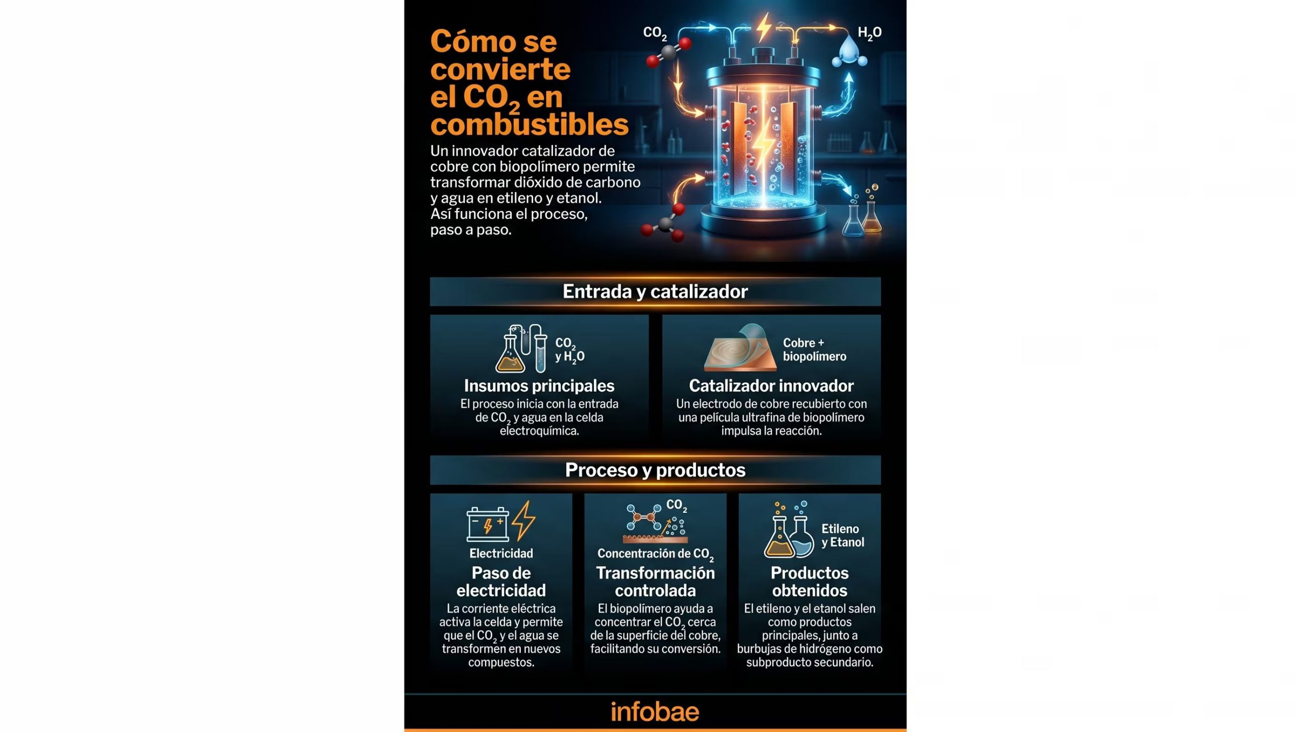 La infografía ilustra el proceso electroquímico innovador que convierte el dióxido de carbono y el agua en etileno y etanol, utilizando un catalizador de cobre recubierto con biopolímeros (Imagen Ilustrativa Infobae)