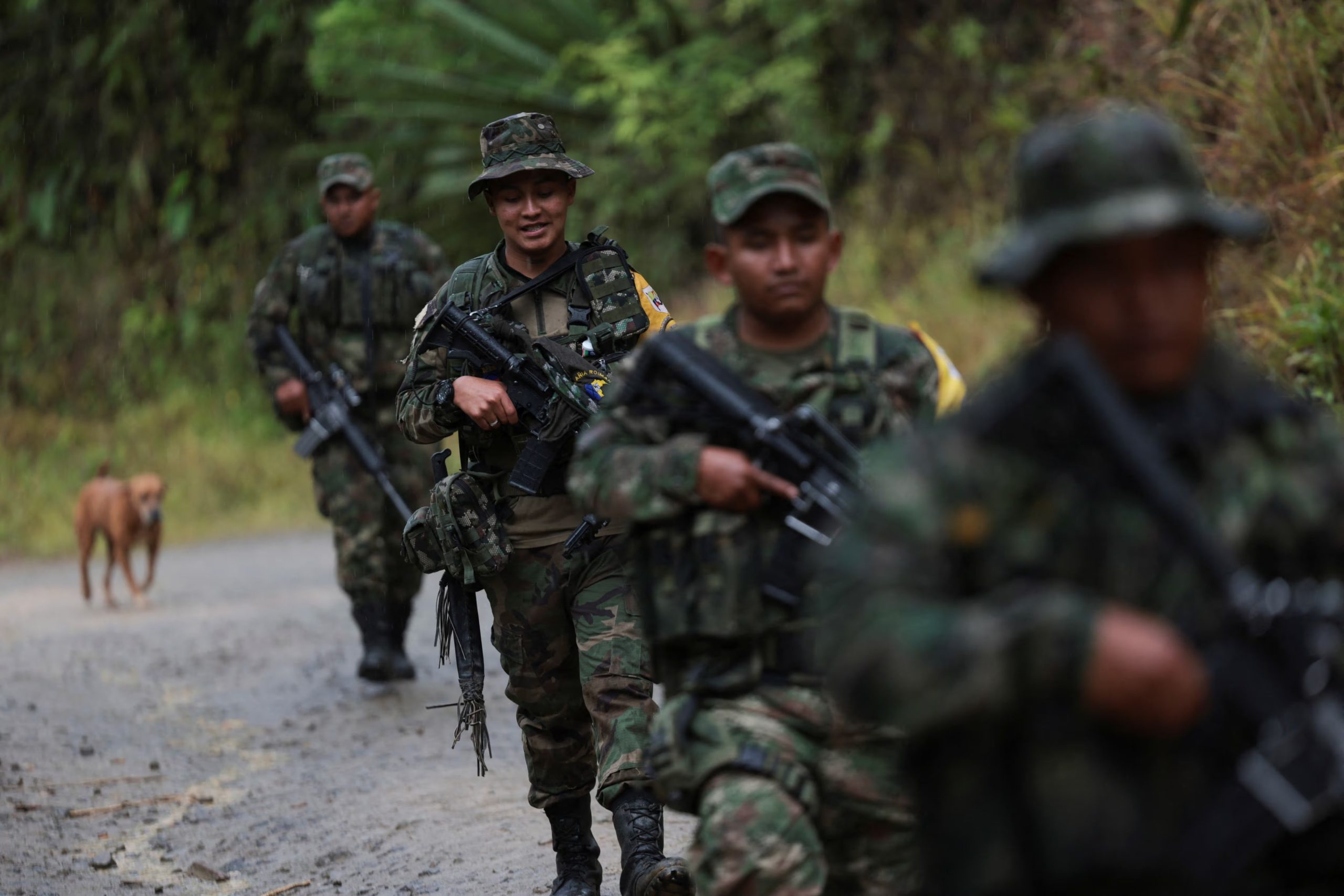 La disputa interna entre las facciones de las disidencias de las FARC, lideradas por alias Iván Mordisco y alias Calarcá, agudiza la crisis de seguridad - crédito Reuters