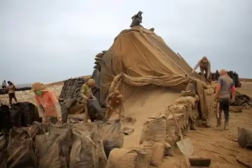Se creará una mesa de trabajo para coordinar monitoreo, investigación y medidas de conservación.