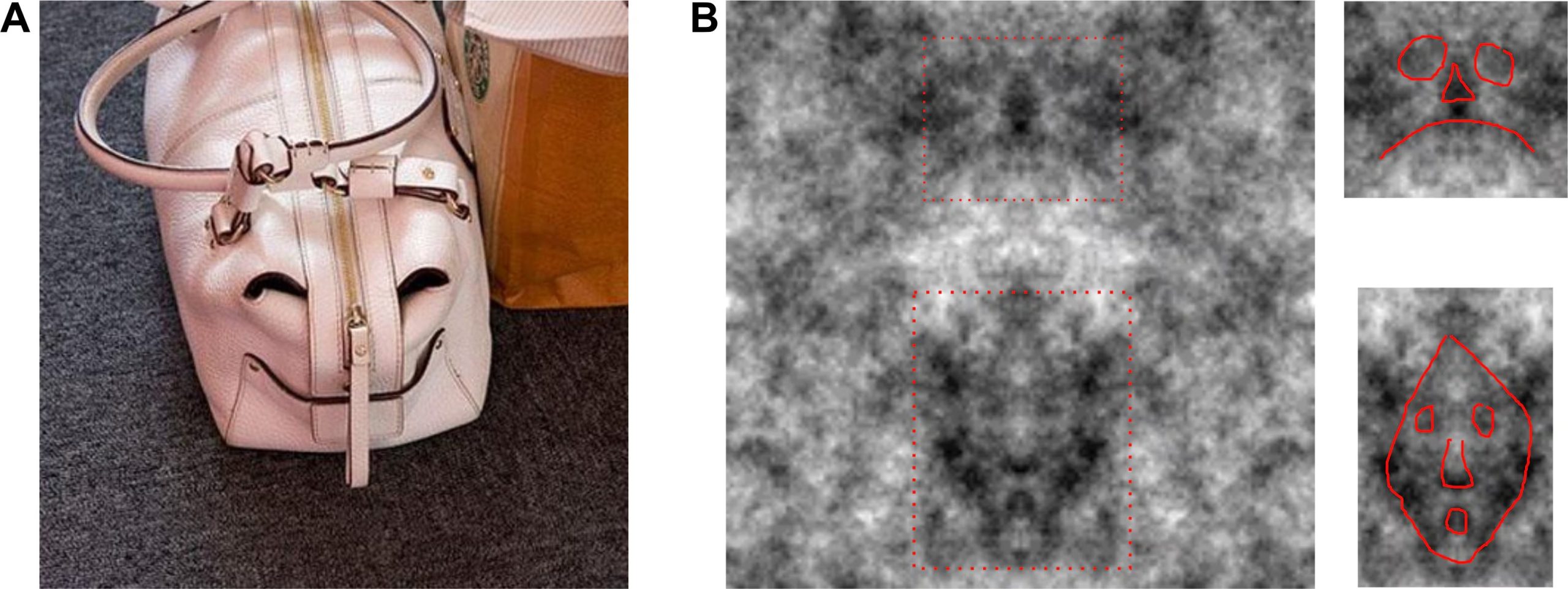 El cerebro humano está programado para detectar rostros incluso donde no los hay (Universidad de Nueva Gales del Sur)