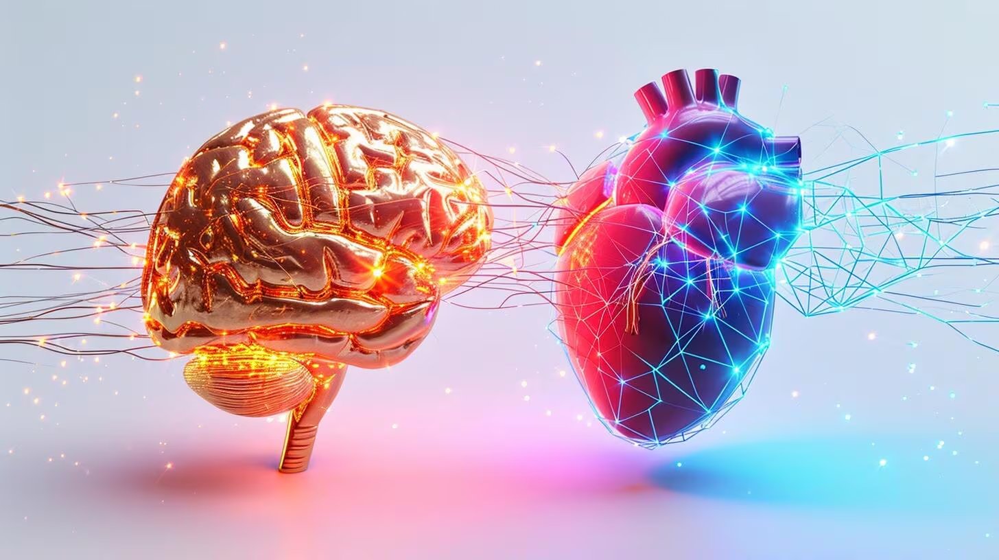Cuidar el corazón y el cerebro requiere hábitos diarios como ejercicio, buena alimentación, sueño adecuado y controles médicos para reducir riesgos (Imagen ilustrativa Infobae)
