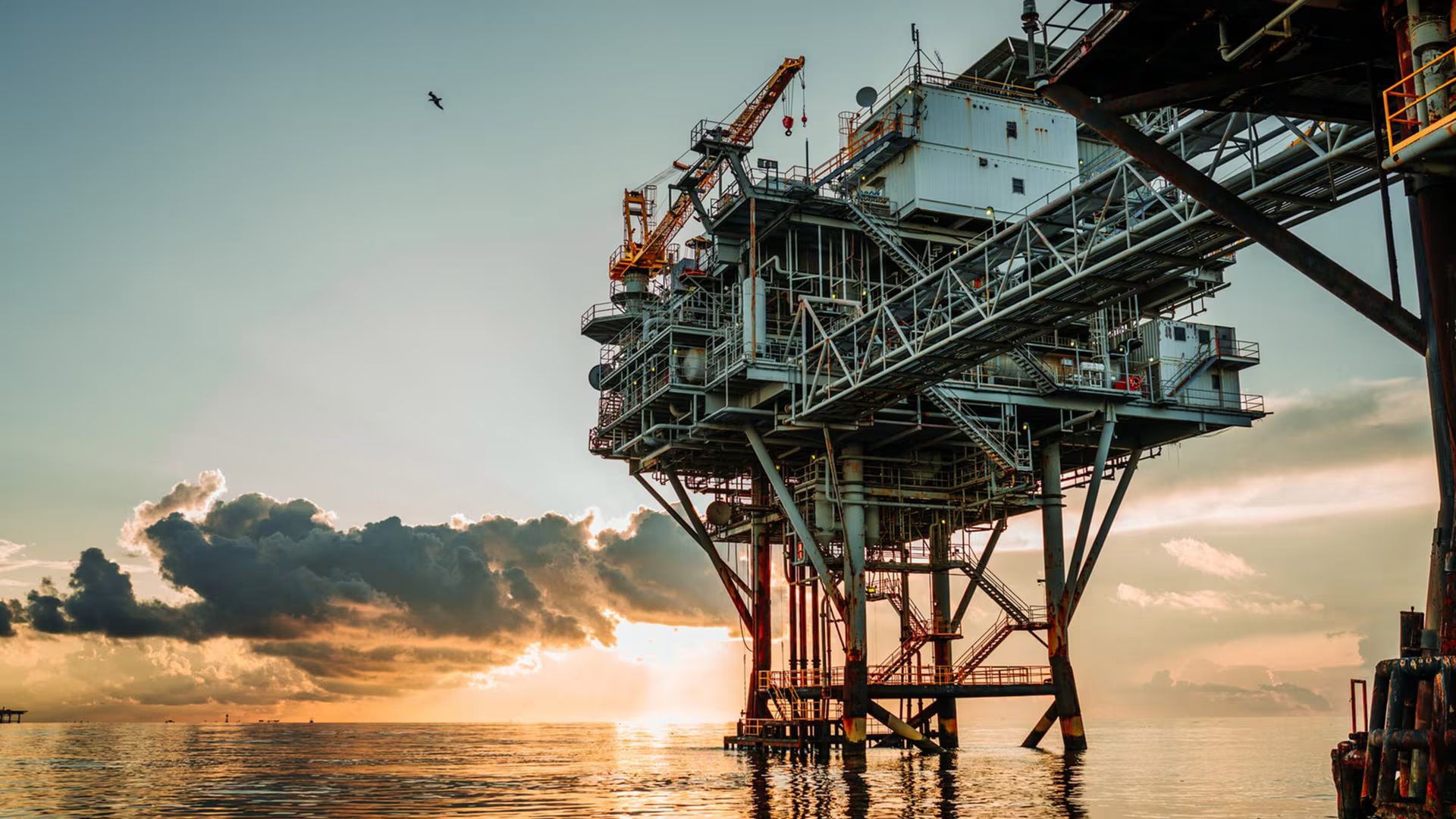 NGC será clave en la explotación de los yacimientos Dragon y Loran-Manatee