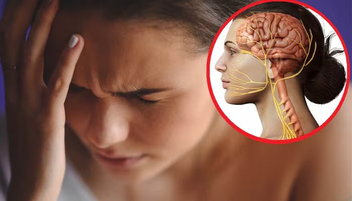 El sistema glinfático, encargado de limpiar desechos cerebrales durante el sueño, podría desempeñar un papel clave en el desarrollo de la migraña. (Imagen Ilustrativa Infobae)