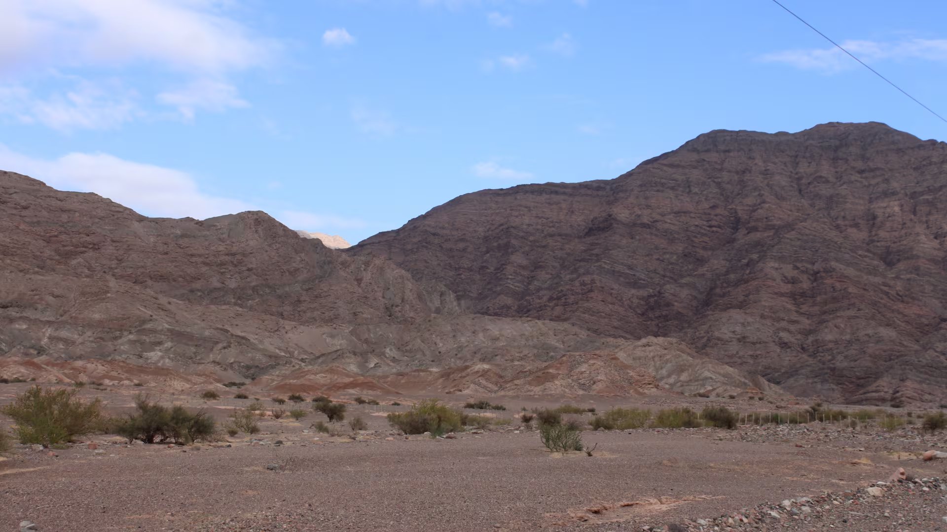 La especie fue nombrada en homenaje al cacique Juan Chelemín, líder indígena símbolo de resistencia en el noroeste argentino (IPEEC/CONICET)