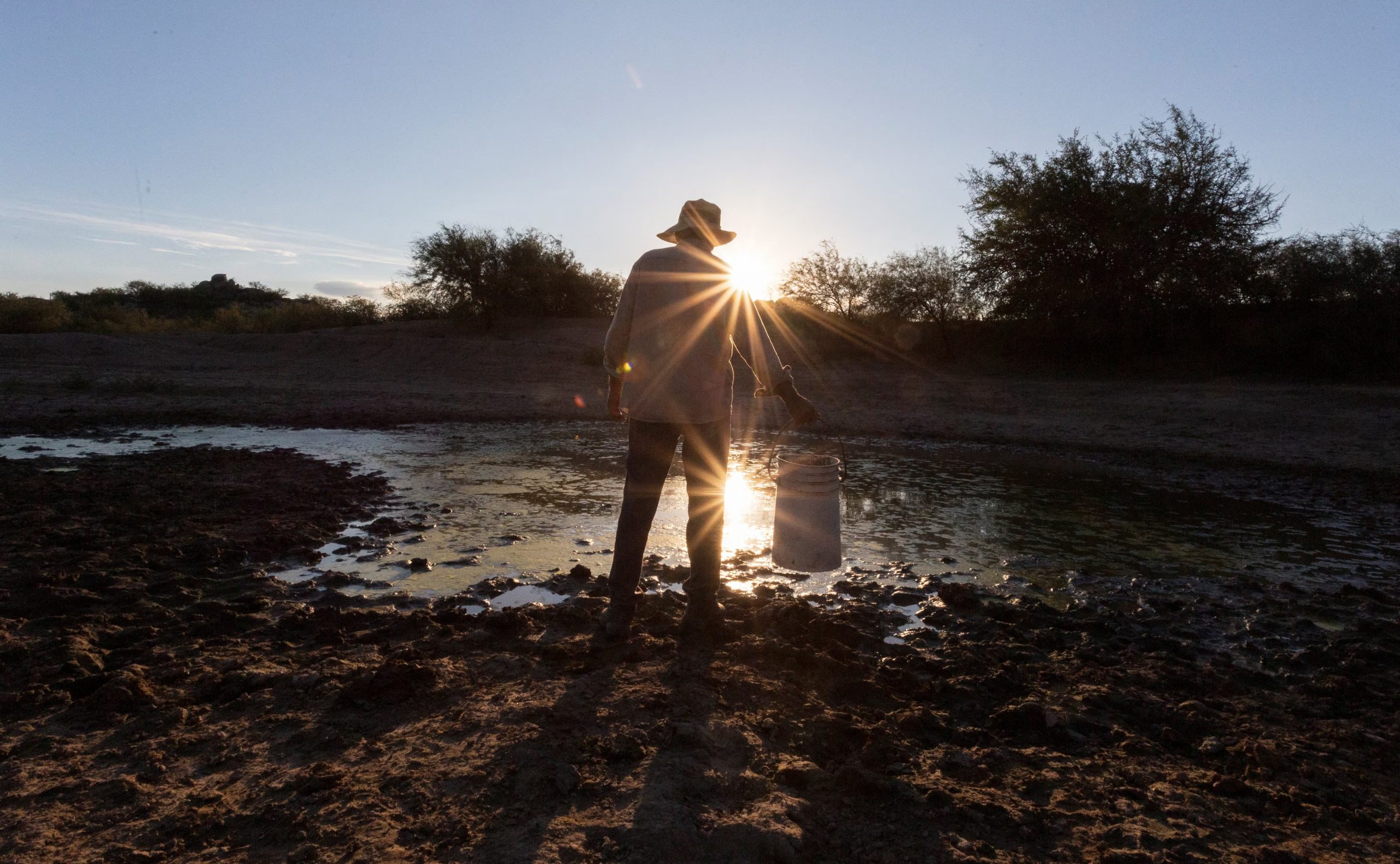 El gecko enfrenta amenazas por el cambio climático y la presión minera en la región, sin áreas protegidas alrededor de su hábitat/Archivo REUTERS