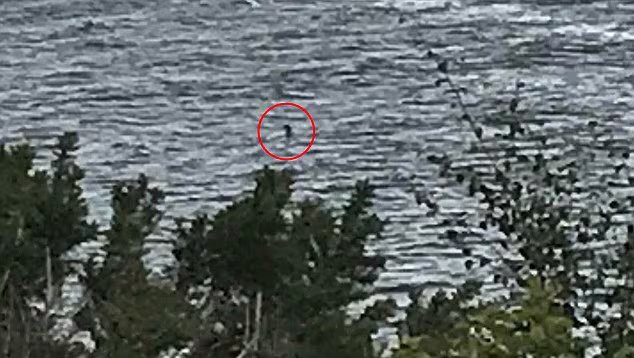 Otra imagen del supuesto monstruo en el Lago Ness