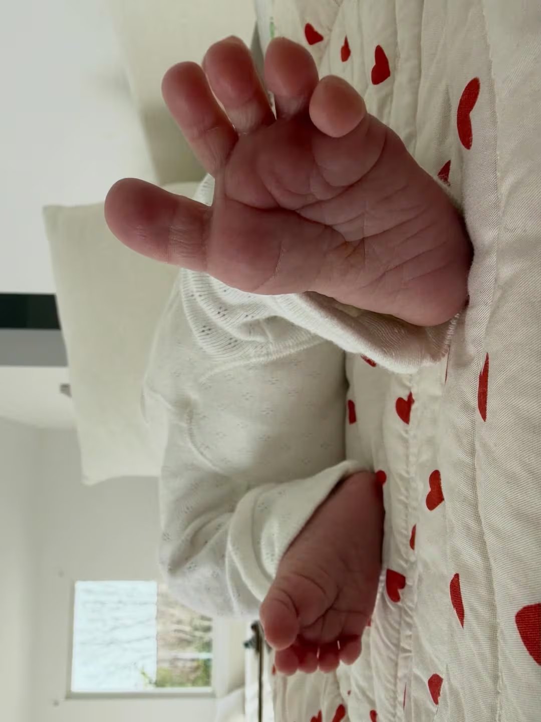 Los diminutos pies de Dante sobre una manta de corazones rojos