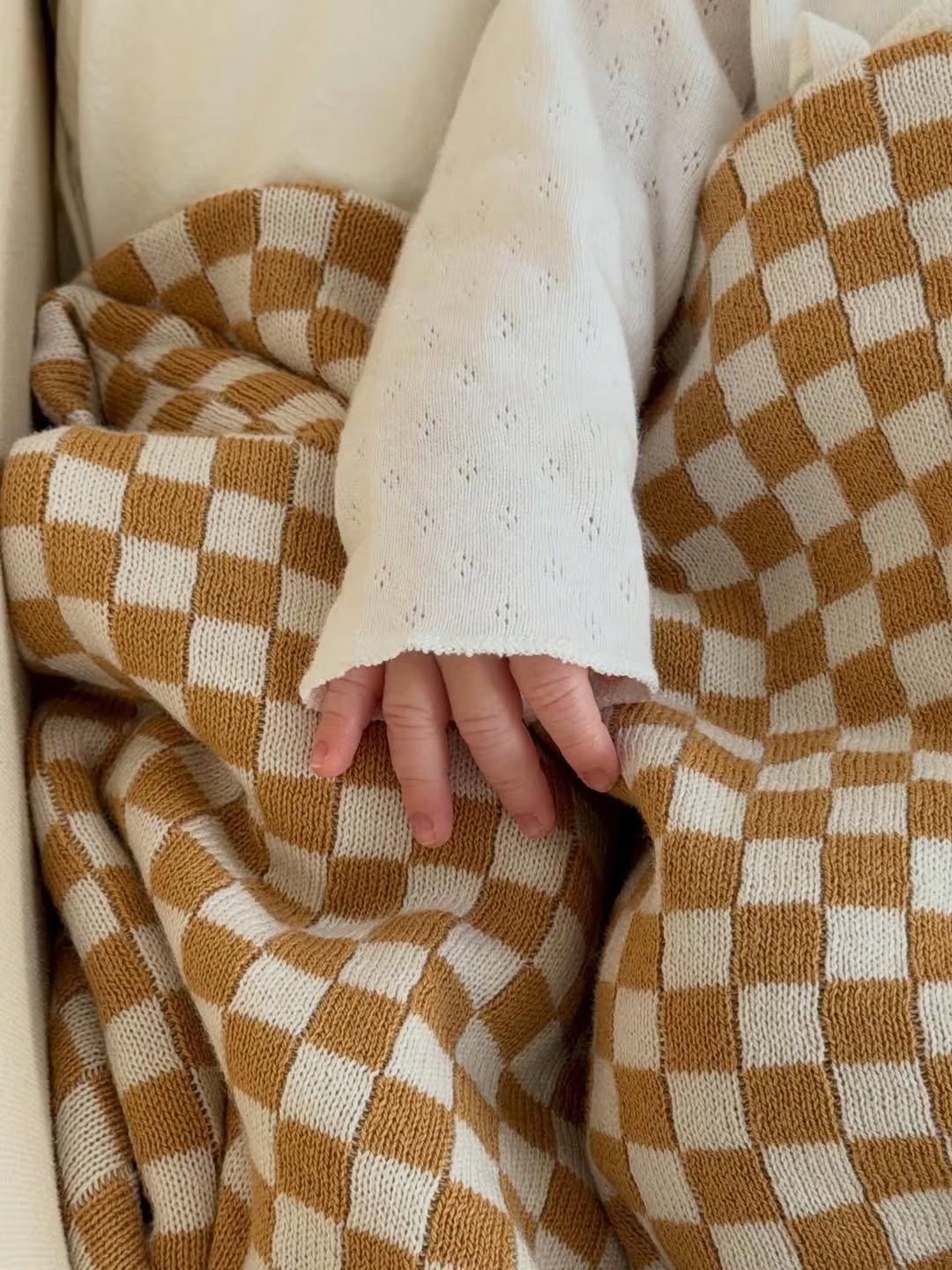 La pequeña mano de Dante sobre una de sus mantas