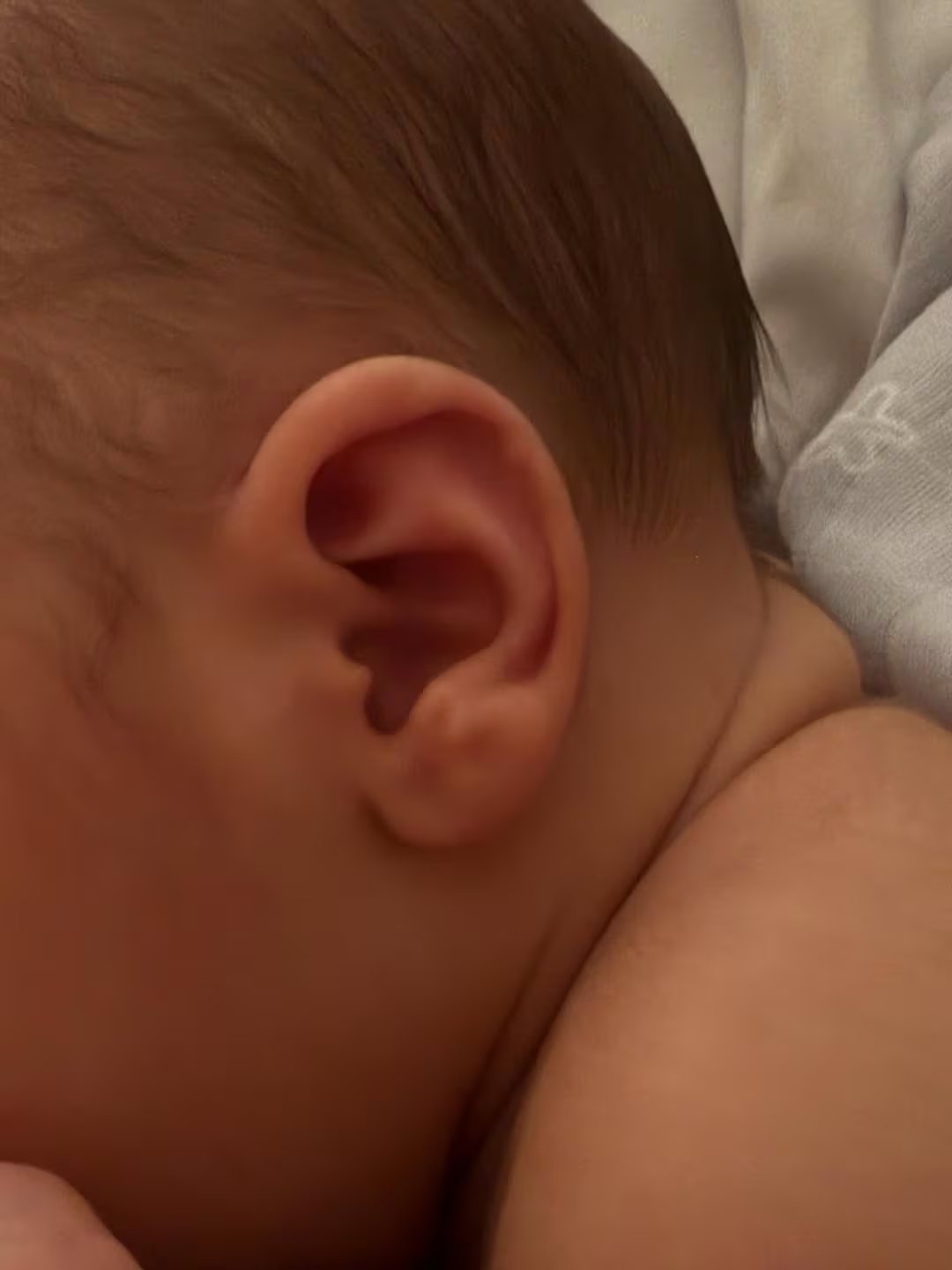 El primer plano de la oreja de Dante, uno de los muchos detalles que Úrsula elige atesorar en imágenes