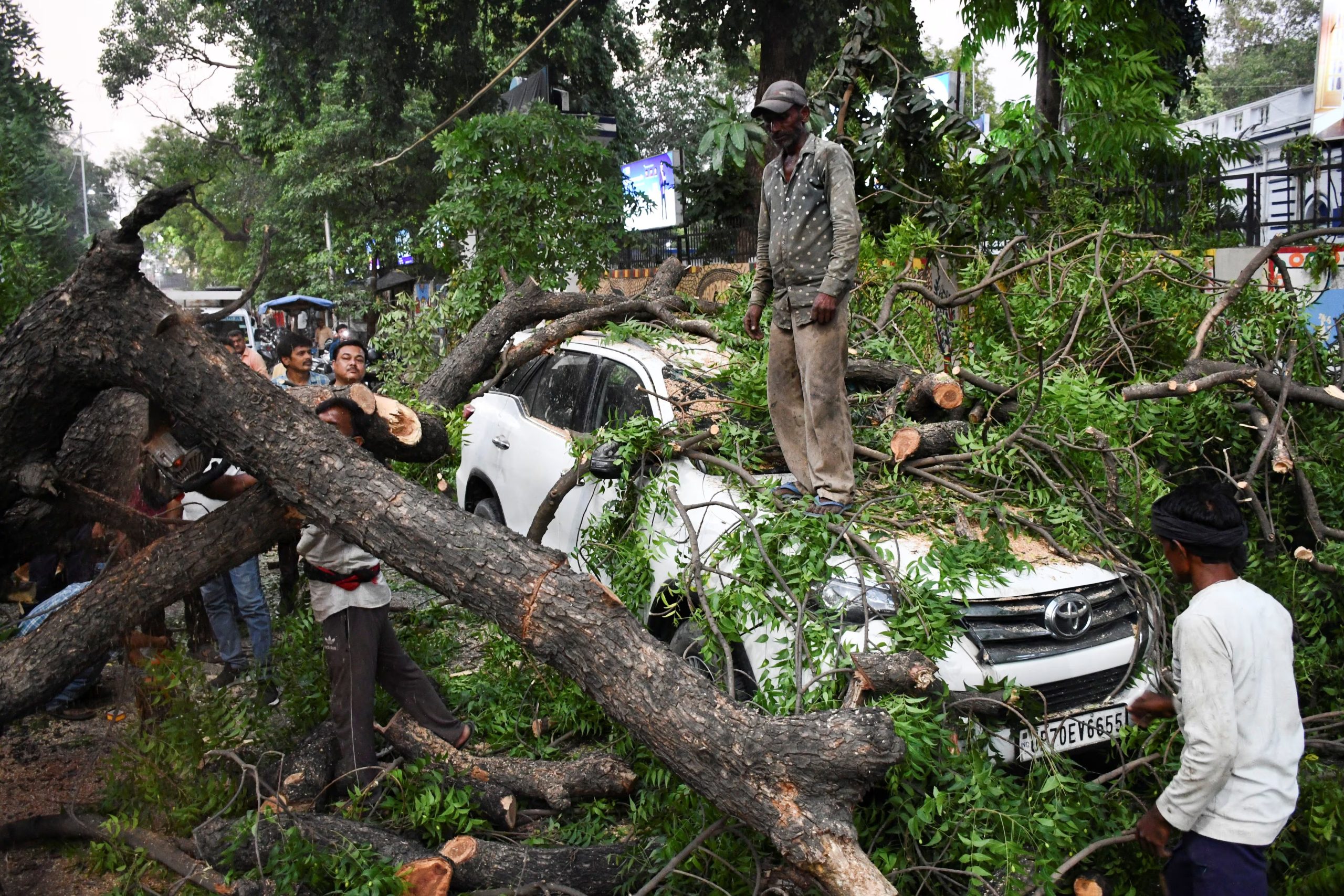Varias personas retiran un árbol caído sobre un coche durante una fuerte tormenta en Prayagraj, en el estado norteño de Uttar Pradesh, India, el 13 de mayo de 2026 (REUTERS)
