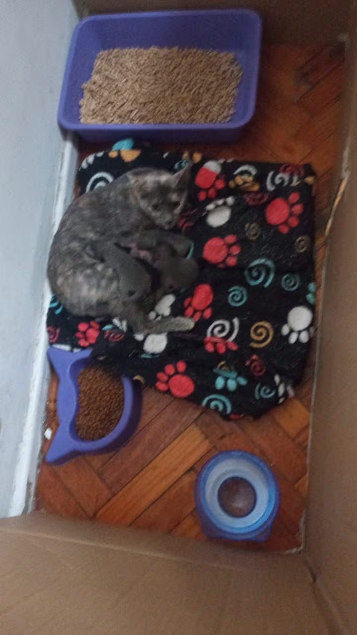 Salvadora y sus bebés