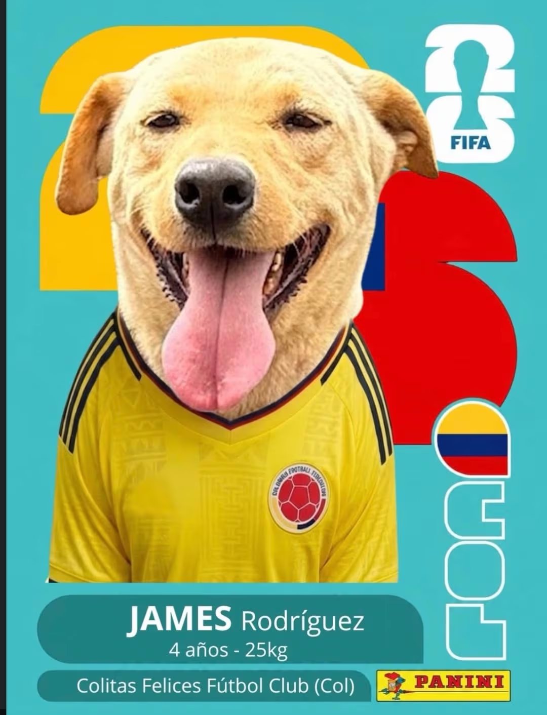Algunos animales adoptaron nombres de las figuras de la Selección Colombia - crédito fundacioncolitasfelices / Instagram