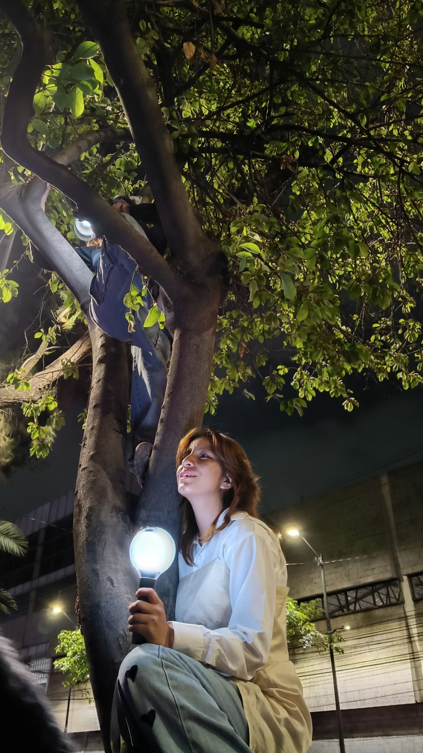 Una fan de BTS, con su ARMY BOMB, busca la mejor vista del concierto desde un árbol (Mariana L. Martínez/Infobae México)