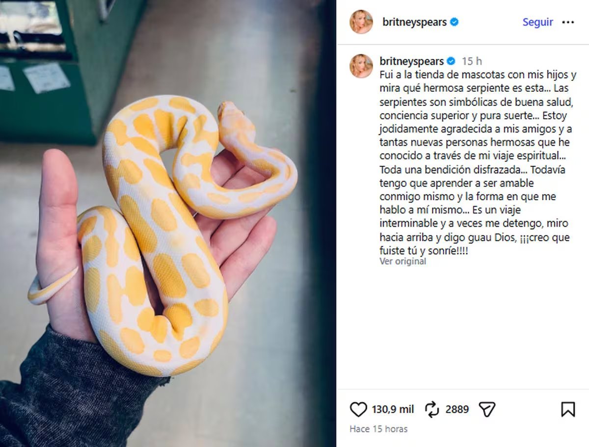 La cantante sostiene una serpiente bebé durante una visita a una tienda de mascotas con sus hijos (Instagram/@britneyspears)