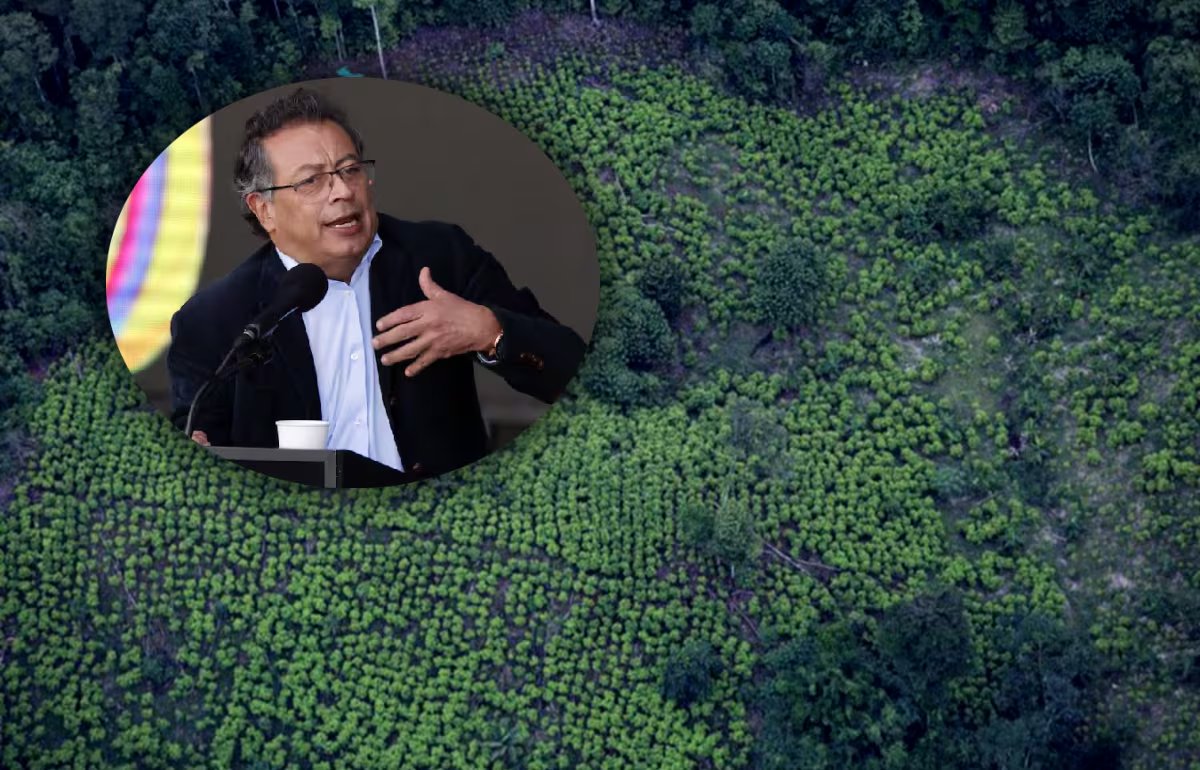 Pese a reportar cifras favorables en incautaciones, el Gobierno Petro recibió un revés por parte de Estados Unidos, luego de que en septiembre se anunciara la descertificación de Colombia por parte del país norteamericano en la lucha antidrogas - crédito EFE/Reuters