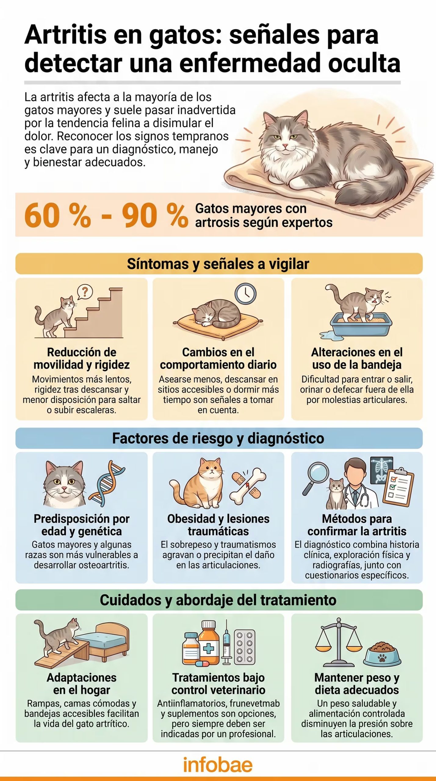 La artritis felina progresa de forma silenciosa y se confunde con el envejecimiento (Imagen Ilustrativa Infobae)