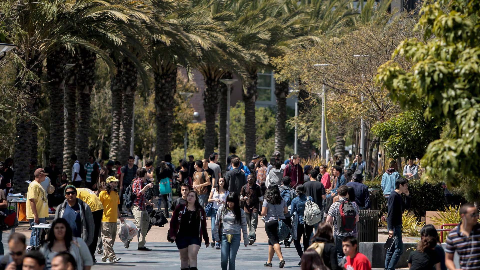 Instituciones como Columbia, Harvard, Princeton y Georgetown modificaron actividades académicas por la caída de Canvas durante la temporada de exámenes (Reuters)