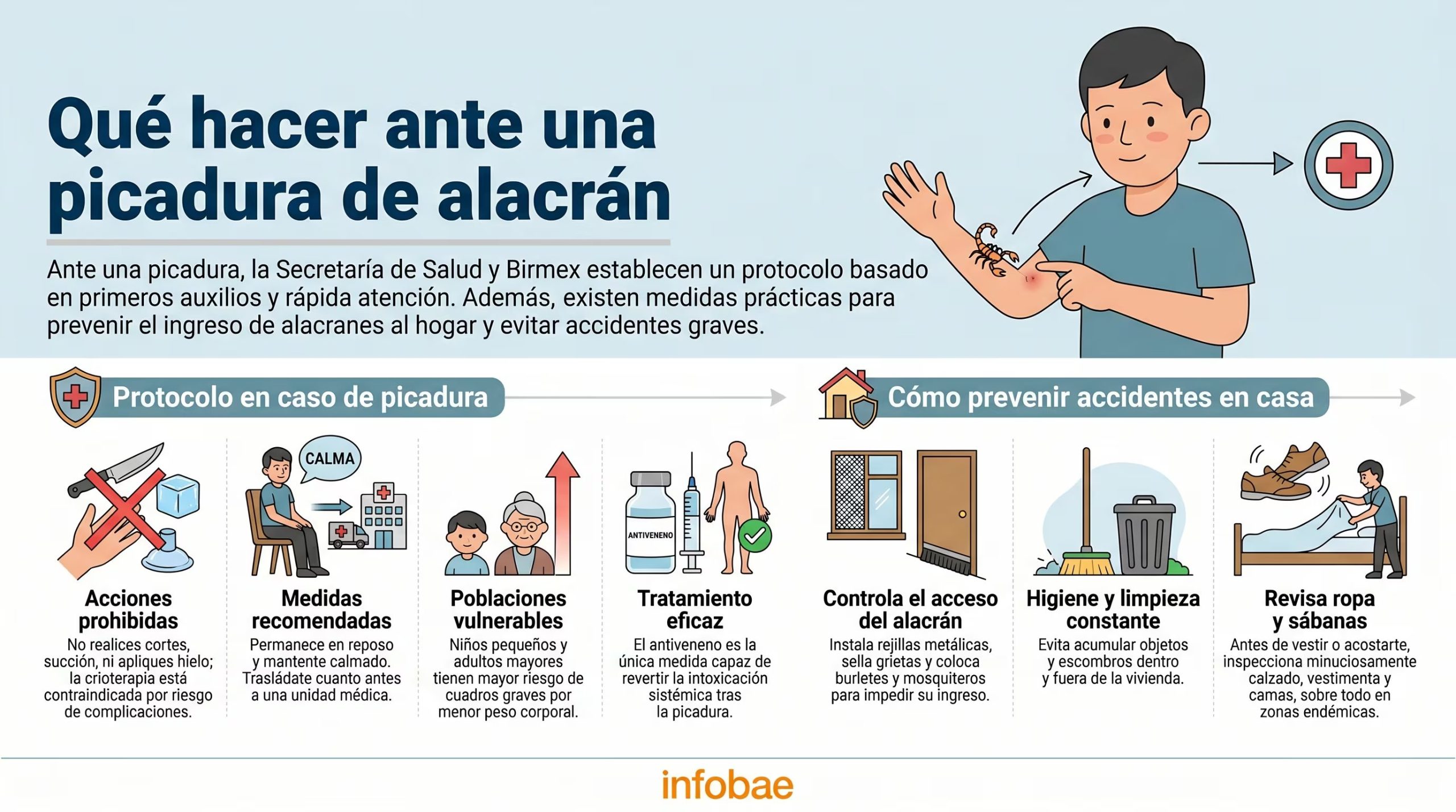 La Secretaría de Salud de México y Birmex detallan el protocolo oficial para actuar ante una picadura de alacrán y las mejores prácticas para prevenir accidentes en el hogar. (Imagen Ilustrativa Infobae)