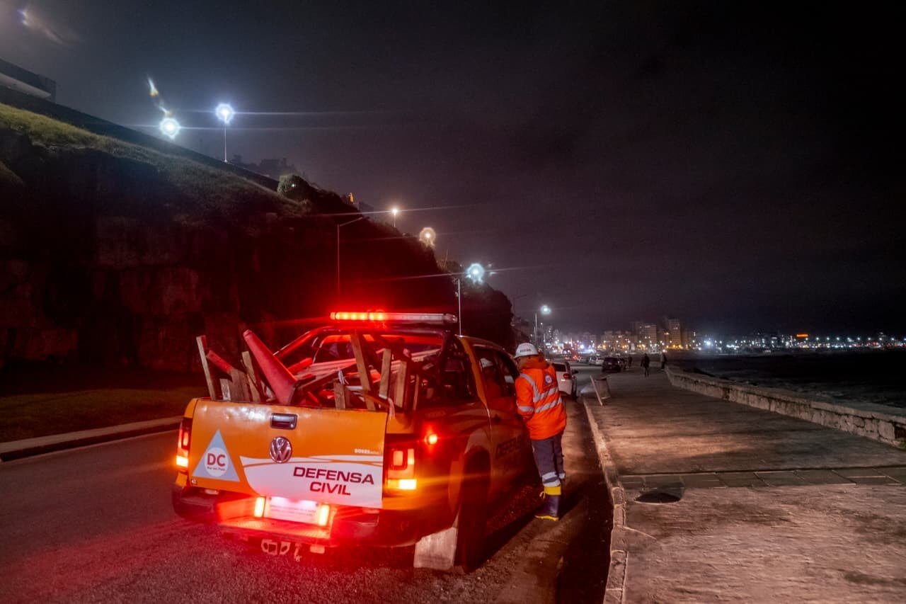 Trabajadores municipales aseguran la zona donde un árbol obstruía el tránsito (Fuente: Seguridad Mar del Plata)