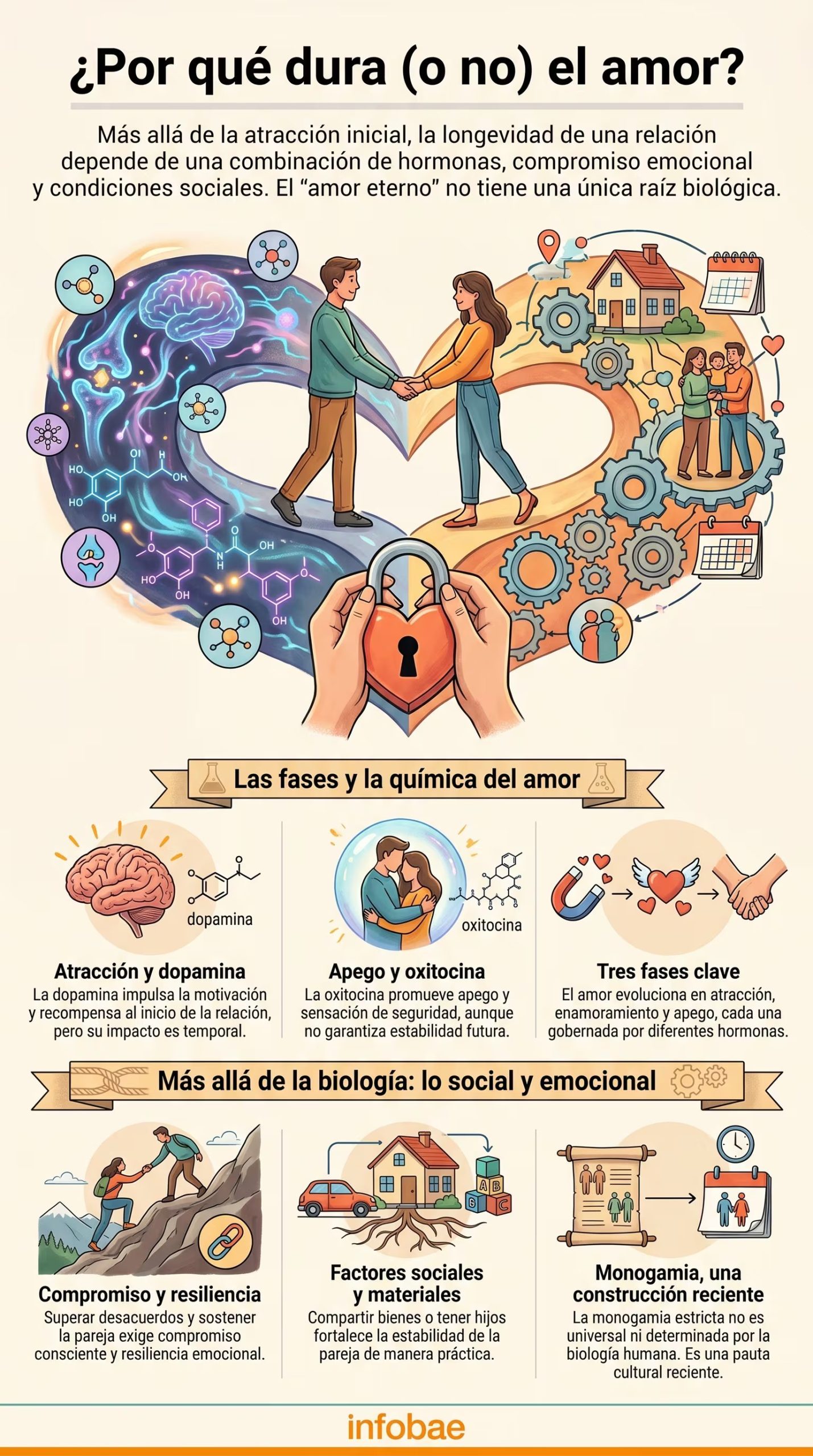 Las fases hormonales del amor incluyen la atracción inicial, el intenso enamoramiento y el apego que caracteriza los vínculos estables (Imagen Ilustrativa Infobae)