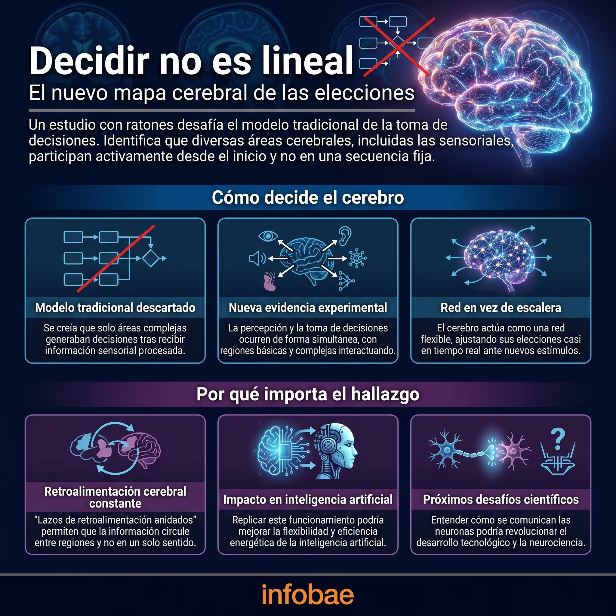 Las áreas del cerebro encargadas de percibir estímulos influyen en las elecciones, desafiando la visión tradicional de un procesamiento jerárquico (Imagen Ilustrativa Infobae)