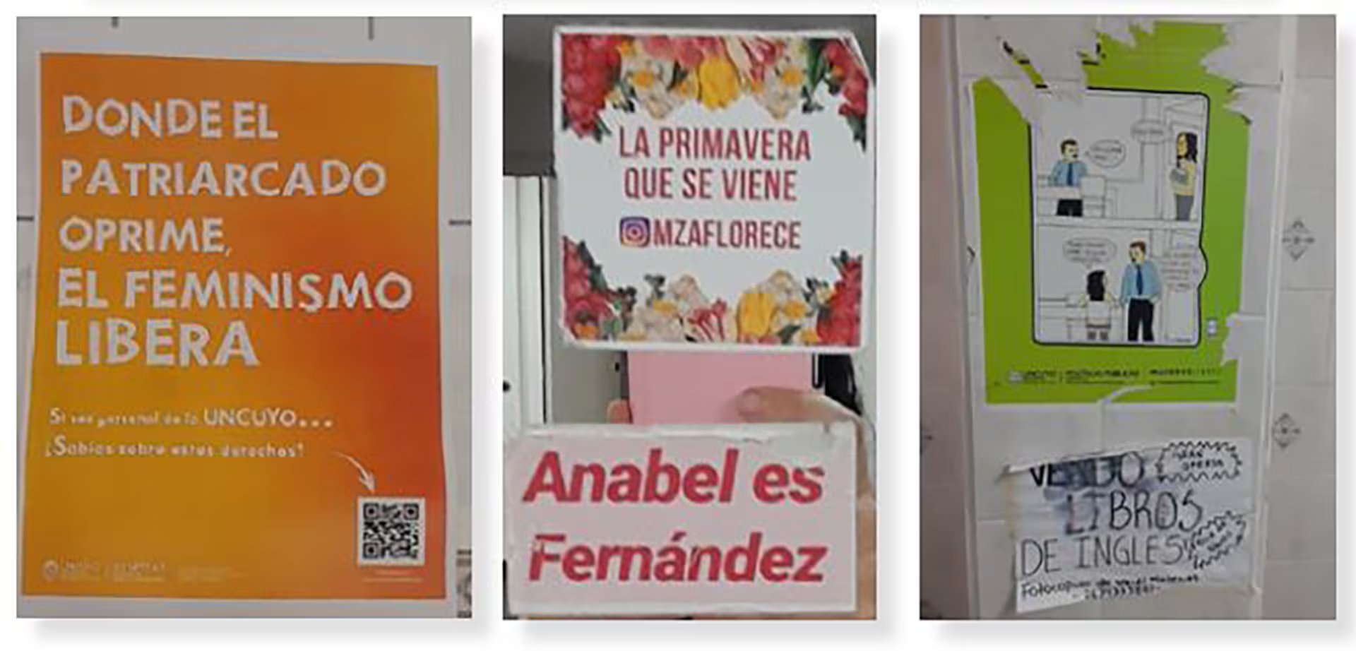 Las analistas de los textos en los baños distinguen dos tipos de mensajes, los “bottom-up” (de abajo hacia arriba), que son aquellos espontáneos, registrados por personas comunes para expresarse y apropiarse del espacio, y los “top-down” (de arriba hacia abajo), que son aquellos comunicados oficiales, emitidos por instituciones o autoridades (Daniela Soledad González)