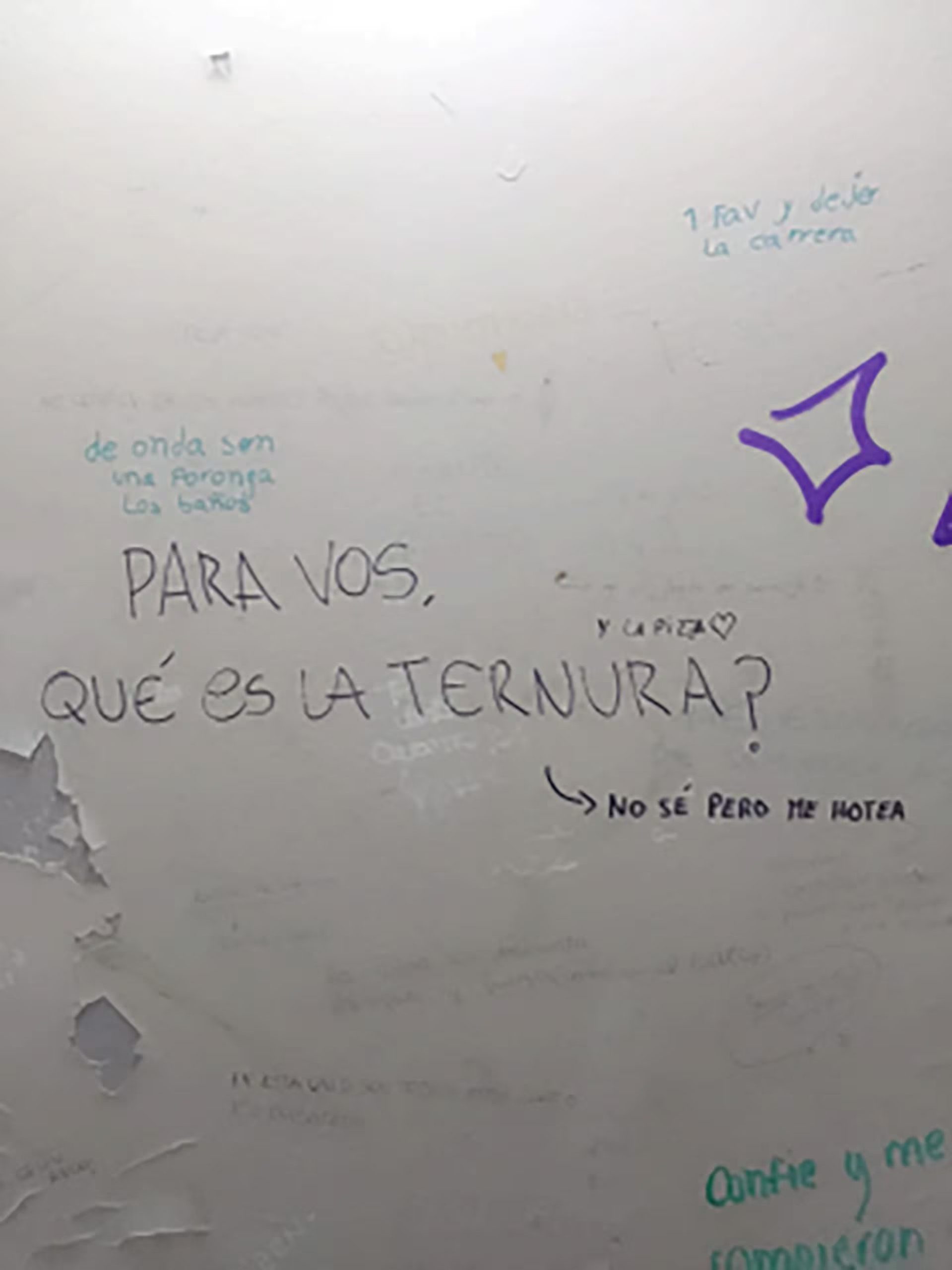 Diferentes estudios concluyeron que plasmar emociones y sentimientos de manera anónima, a modo de descarga, puede favorecer el estado anímico e incluso la salud mental y física (Micaela Cristoforo)