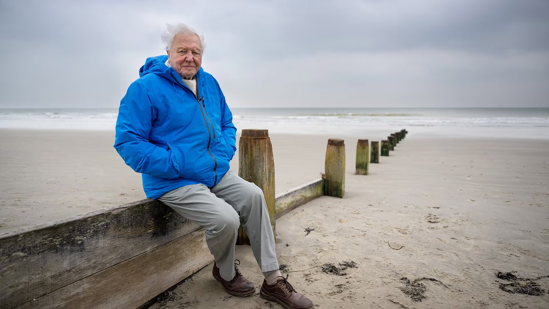 David Attenborough contempla el mar en el sur de Inglaterra. El documental especial OCÉANO CON DAVID ATTENBOROUGH, de National Geographic y Silverback, en colaboración con All3Media International, destaca las acciones vitales y factibles que el mundo puede emprender para restaurar los océanos y estabilizar el clima. Su estreno está previsto para 2025. (Foto: Conor McDonnell)