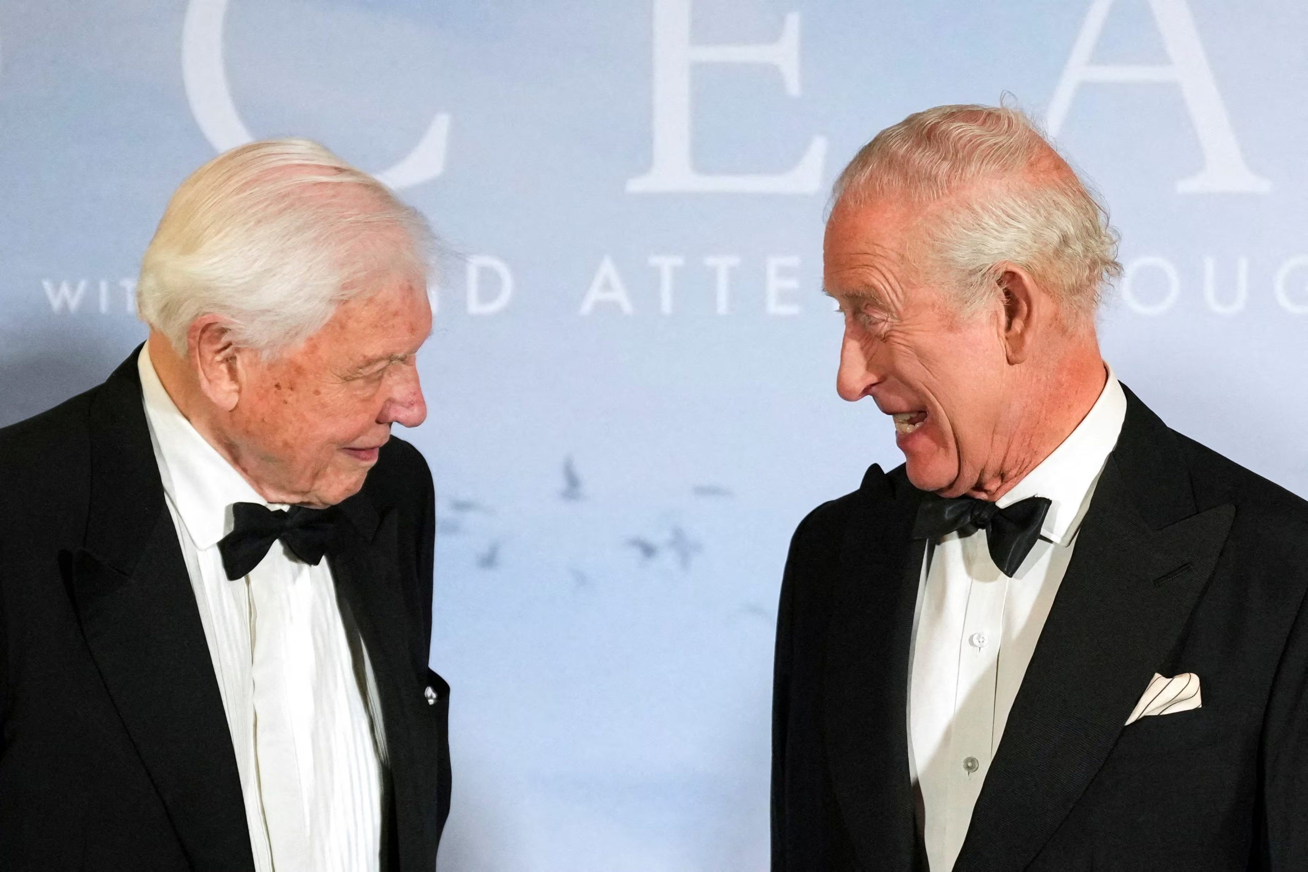 El rey Carlos de Gran Bretaña se reúne con el presentador y biólogo David Attenborough durante el estreno de la película 