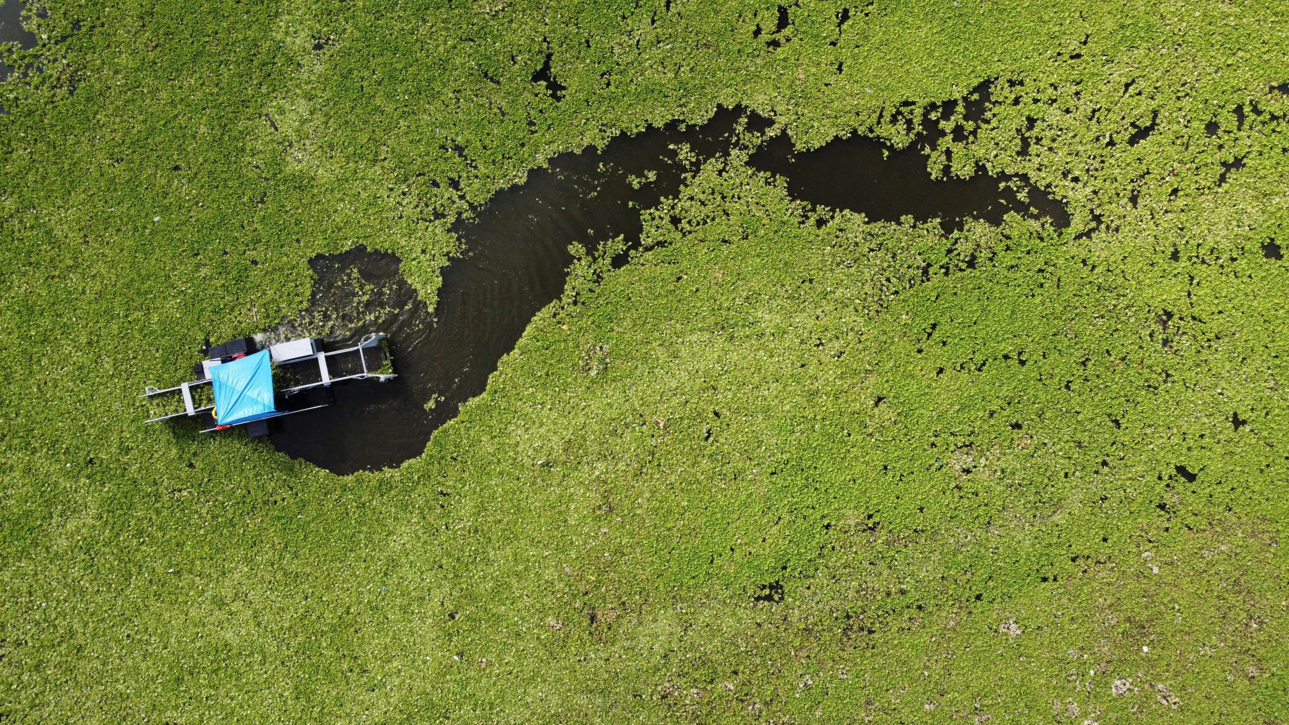 La eutrofización y la mortandad de algas en los fiordos noruegos se intensifican en verano, cuando su capacidad de absorción disminuye
REUTERS/ Jose Cabezas