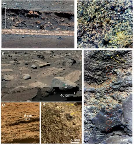 Un equipo internacional demostró que el agua fue central en la formación de los minerales hallados por Perseverance en tres tipos de rocas distintas (revista Journal of Geophysical Research: Planets)