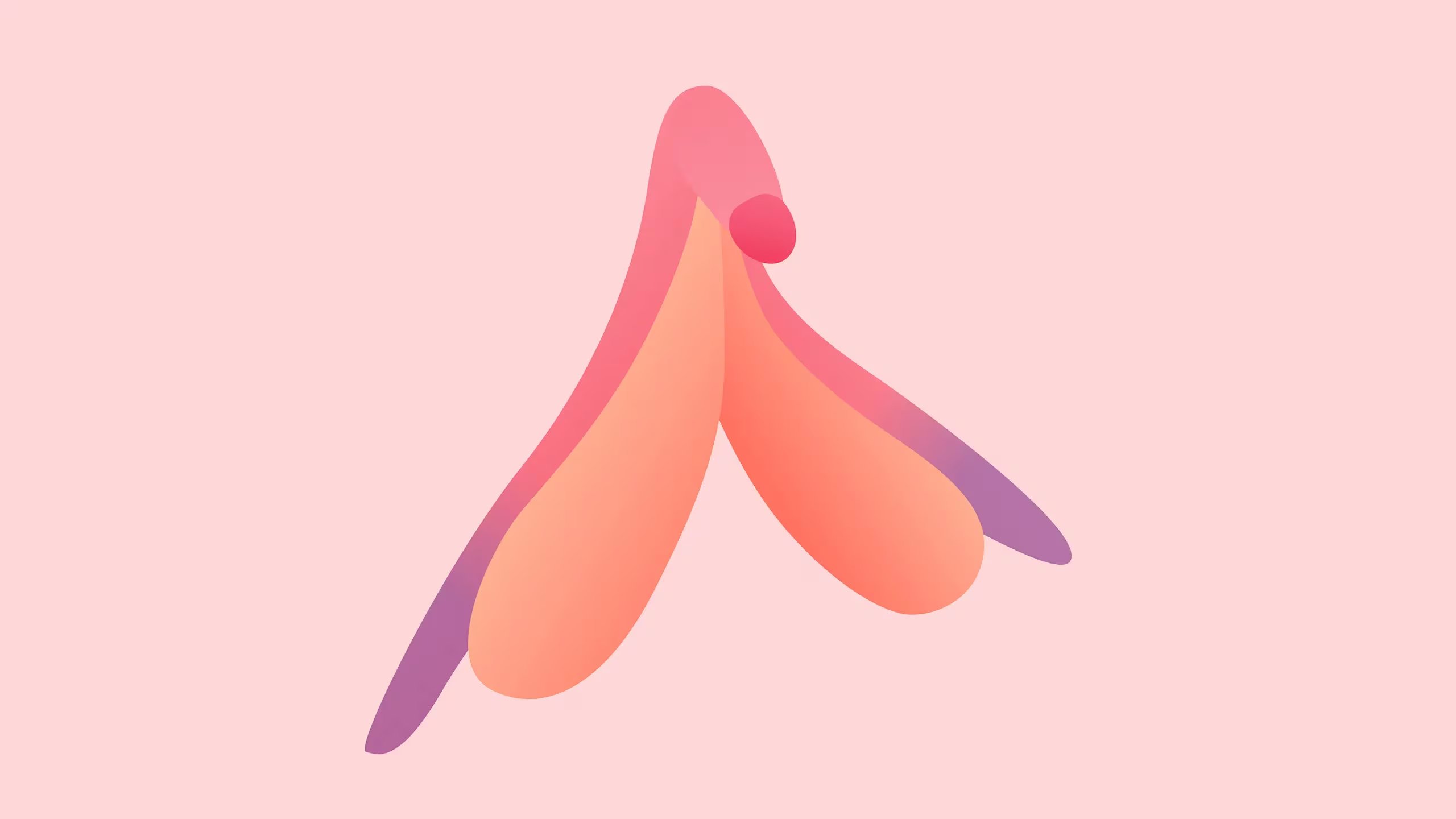 Ilustración de clítoris (Glamour UK)
