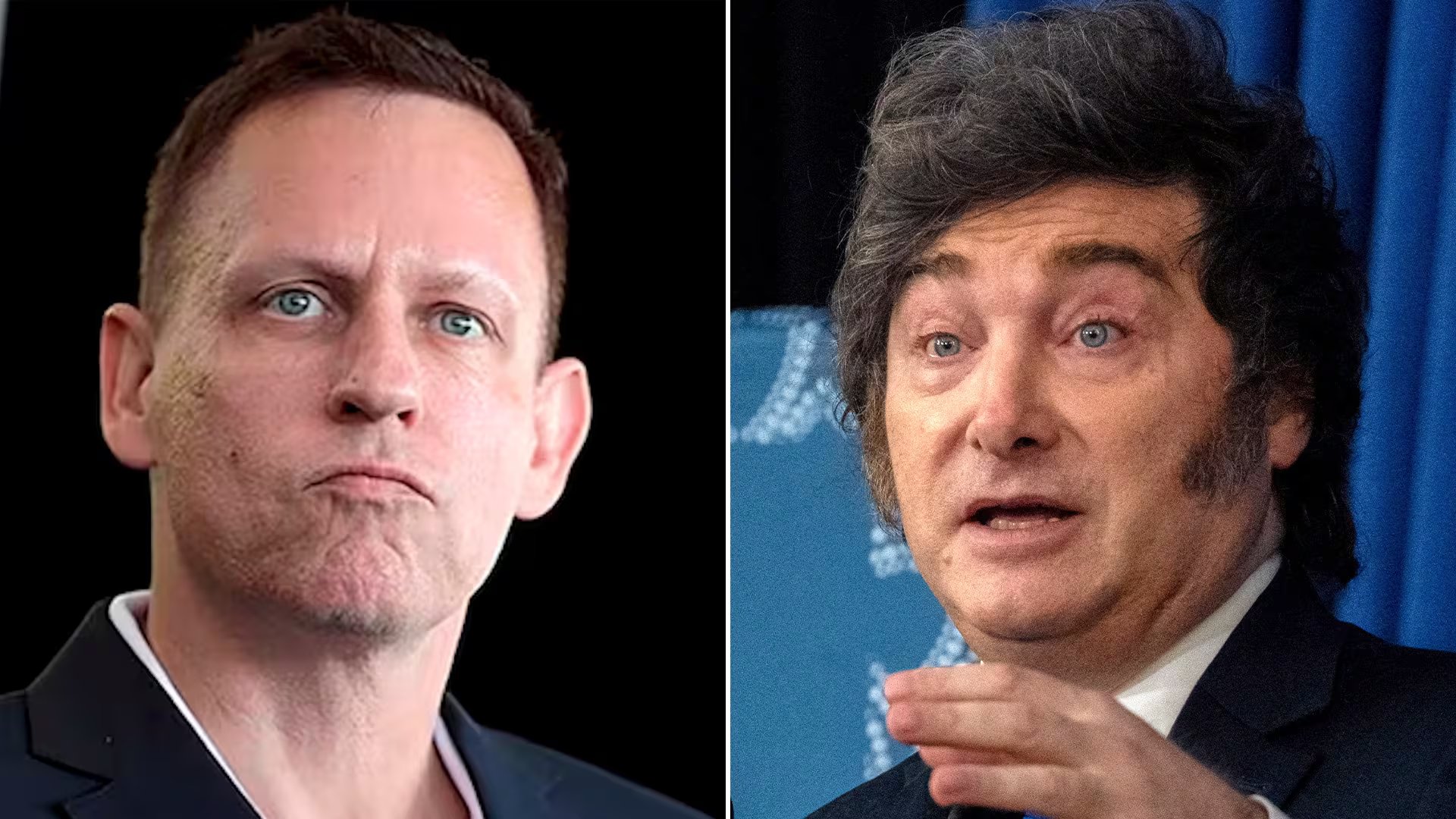 Peter Thiel mantuvo dos reuniones con el presidente Javier Milei.