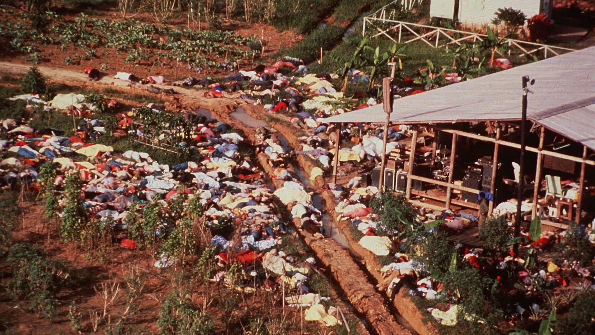 Entre las víctimas de Jonestown se contaron 300 niños y familias enteras forzadas a ingerir cianuro por el liderazgo de la secta