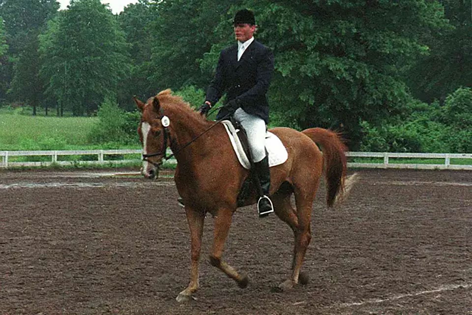 Christopher Reeve sufrió una lesión medular grave durante una competencia ecuestre en Culpeper, Virginia, Estados Unidos, el 27 de mayo de 1995. Hace 31 años