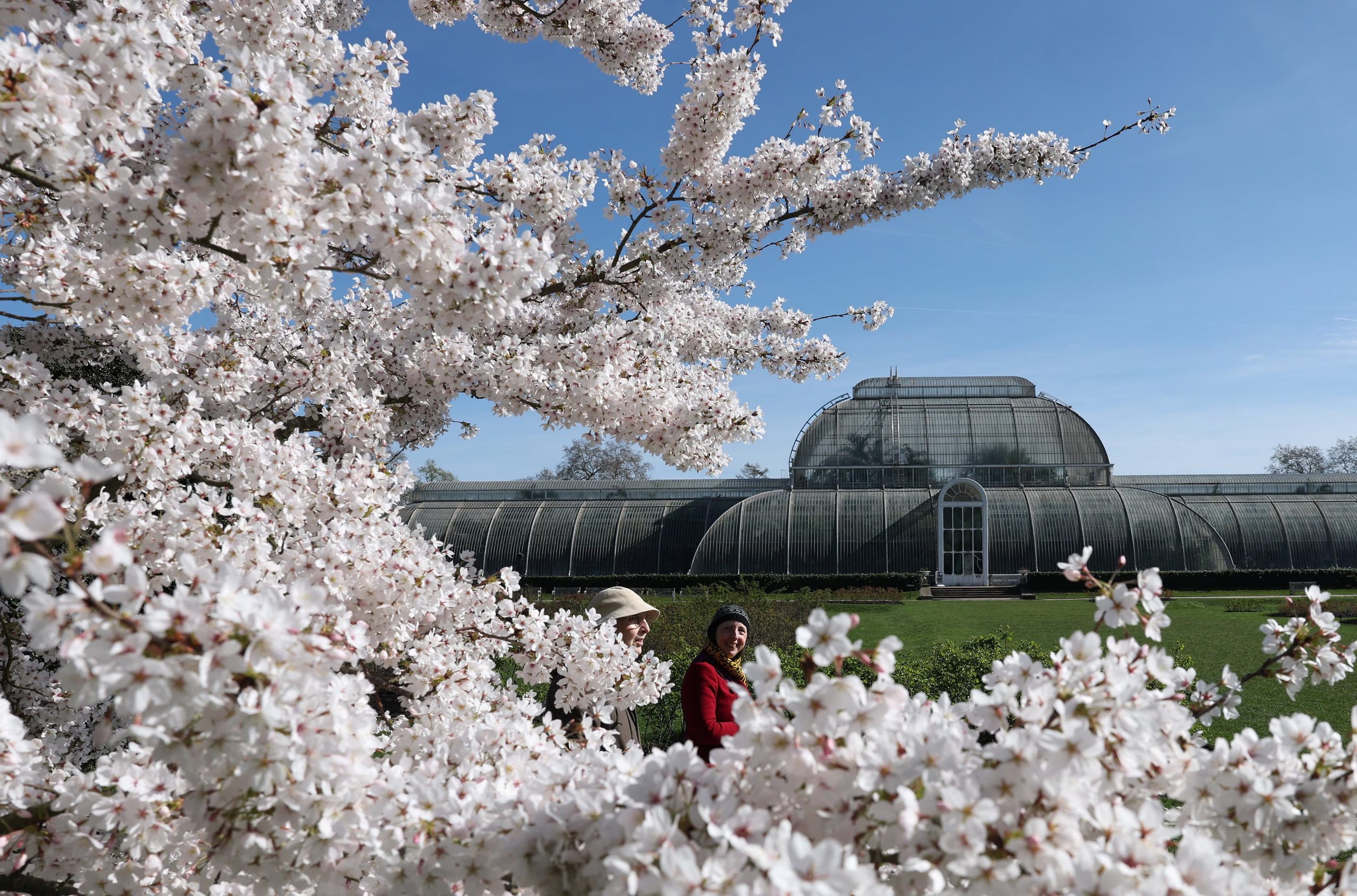 Jardines Botánicos Reales de Kew, en Londres (Reuters).