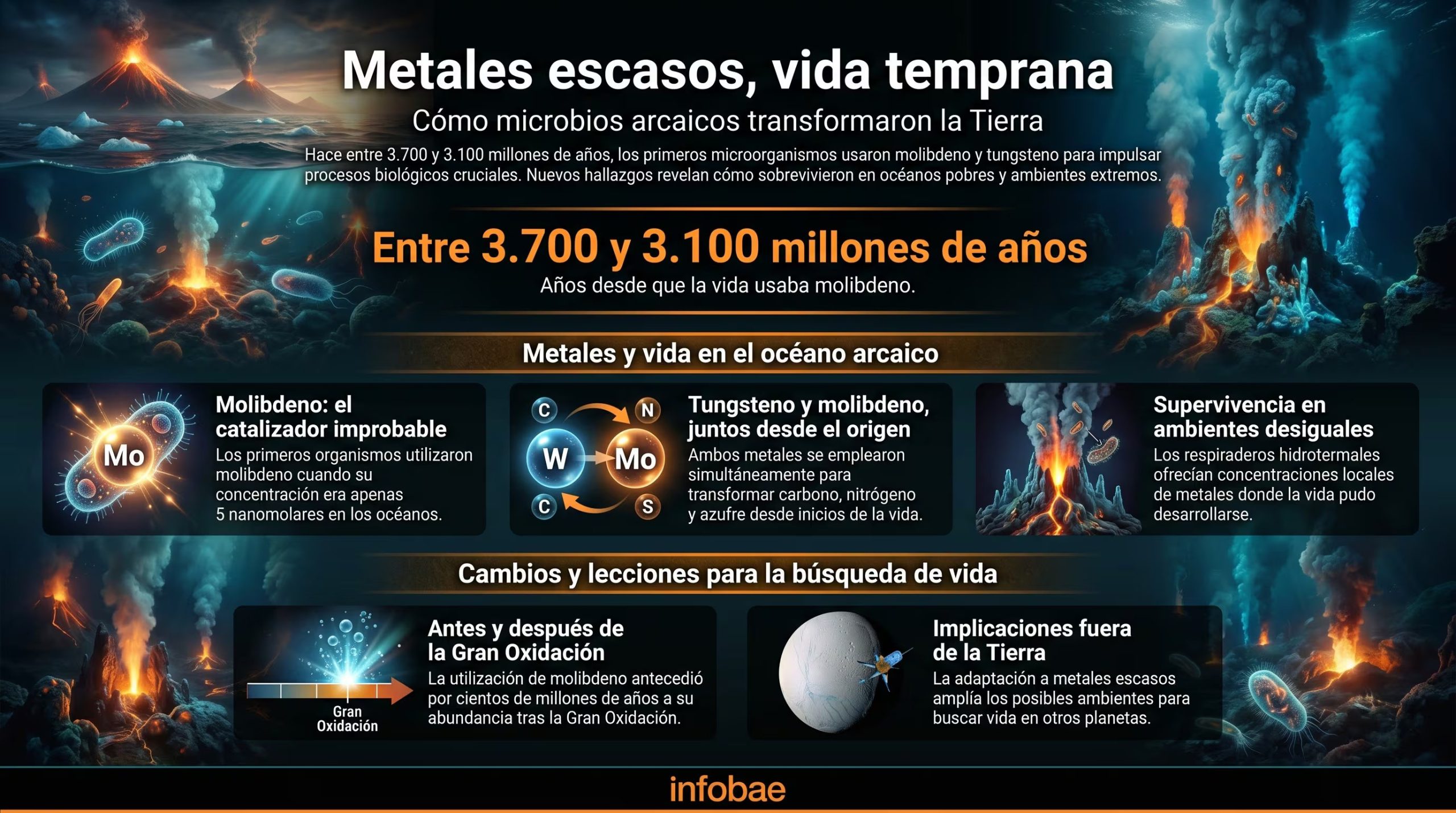 Esta infografía ilustra cómo los primeros microbios de la Tierra utilizaron molibdeno y tungsteno, metales escasos en los océanos arcaicos, para impulsar procesos metabólicos vitales y adaptarse a ambientes extremos hace miles de millones de años (Imagen Ilustrativa Infobae)