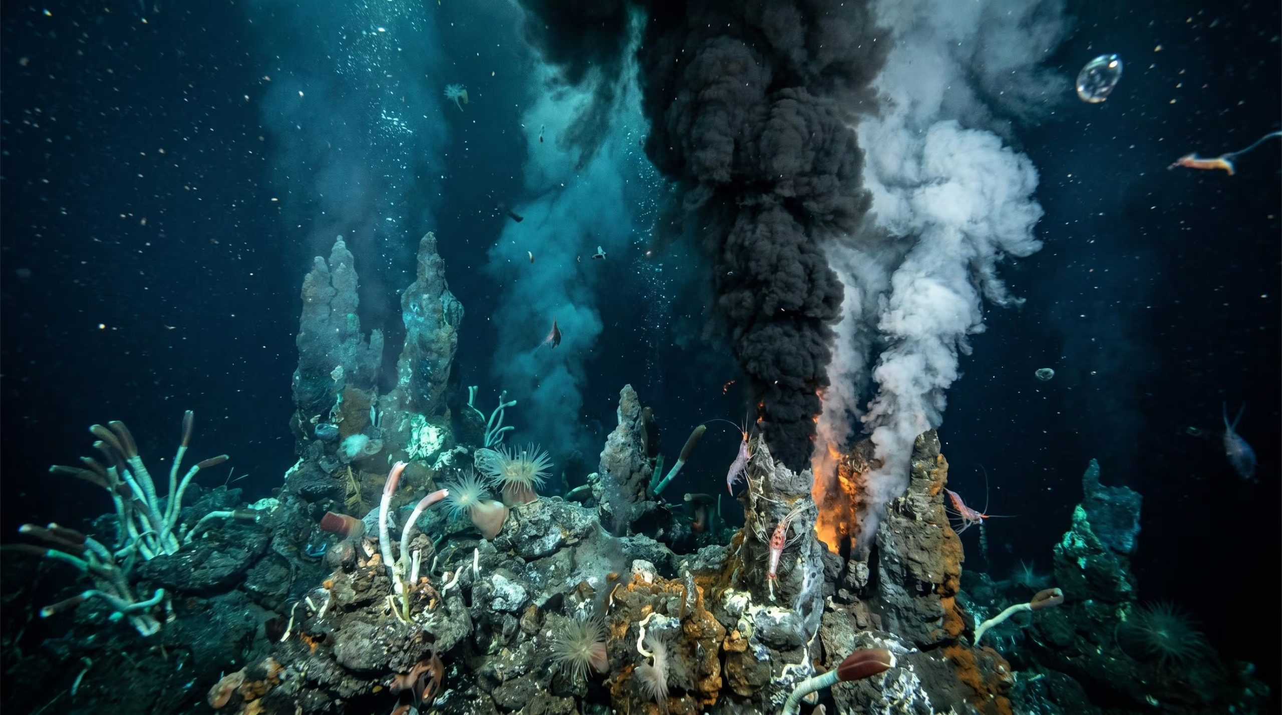 Los respiraderos hidrotermales en el fondo marino funcionaban como reservorios metálicos, donde los microorganismos accedían a elementos escasos para desarrollar rutas metabólicas esenciales (Imagen Ilustrativa Infobae)