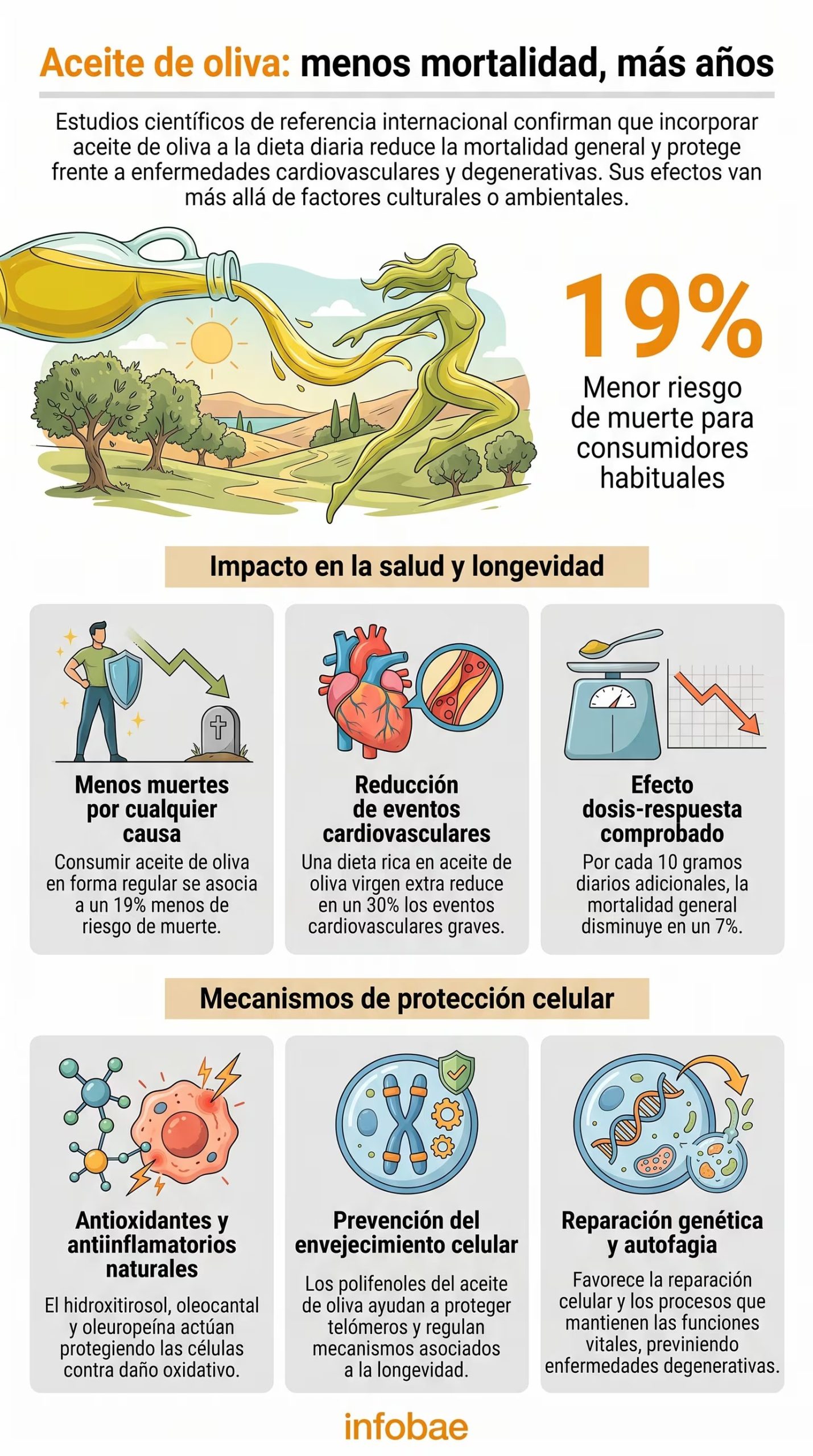 Evidencia científica asocia el consumo regular de aceite de oliva a una reducción significativa del riesgo de mortalidad prematura y enfermedades crónicas, según estudios de Harvard y el NIH. (Imagen Ilustrativa Infobae)