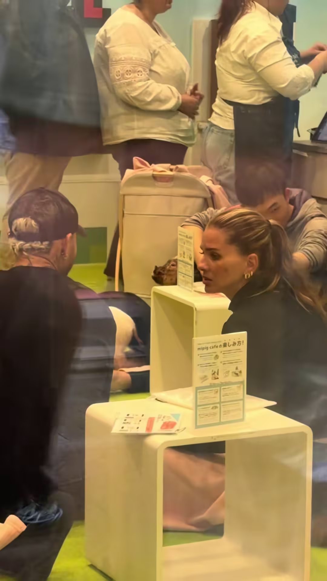 Eugenia 'La China' Suárez visita un café de minipigs en Japón, generando debate en redes sociales sobre la ética del lugar.