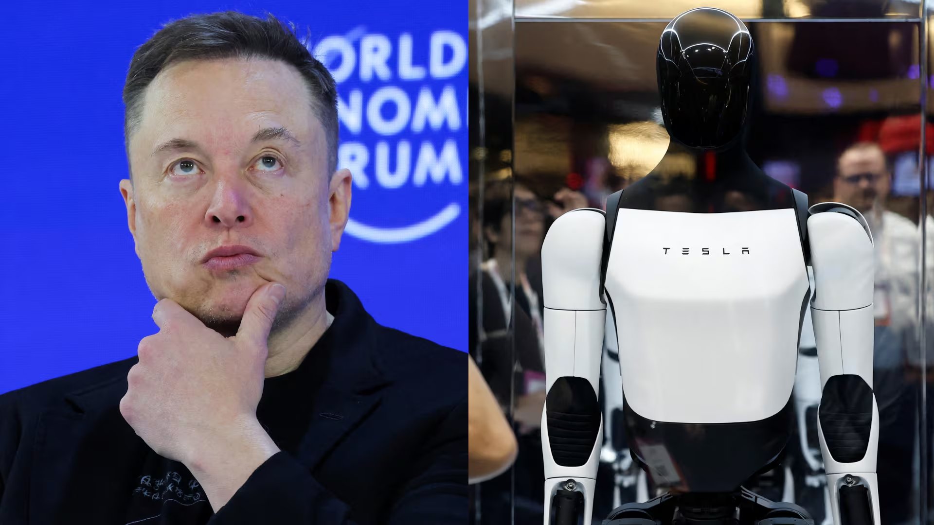 Tesla, la empresa de Elon Musk apuesta por la creación y distribución de robots humanoides como Optimus. (Fotocomposición Infobae: REUTERS/Denis Balibouse/Benoit Tessier)