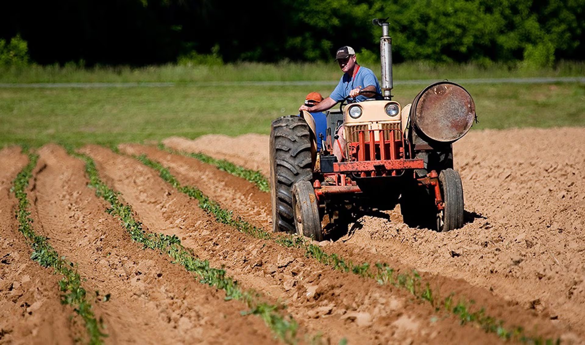 Un agricultor en su tractor en imagen de archivo. (Europa Press)