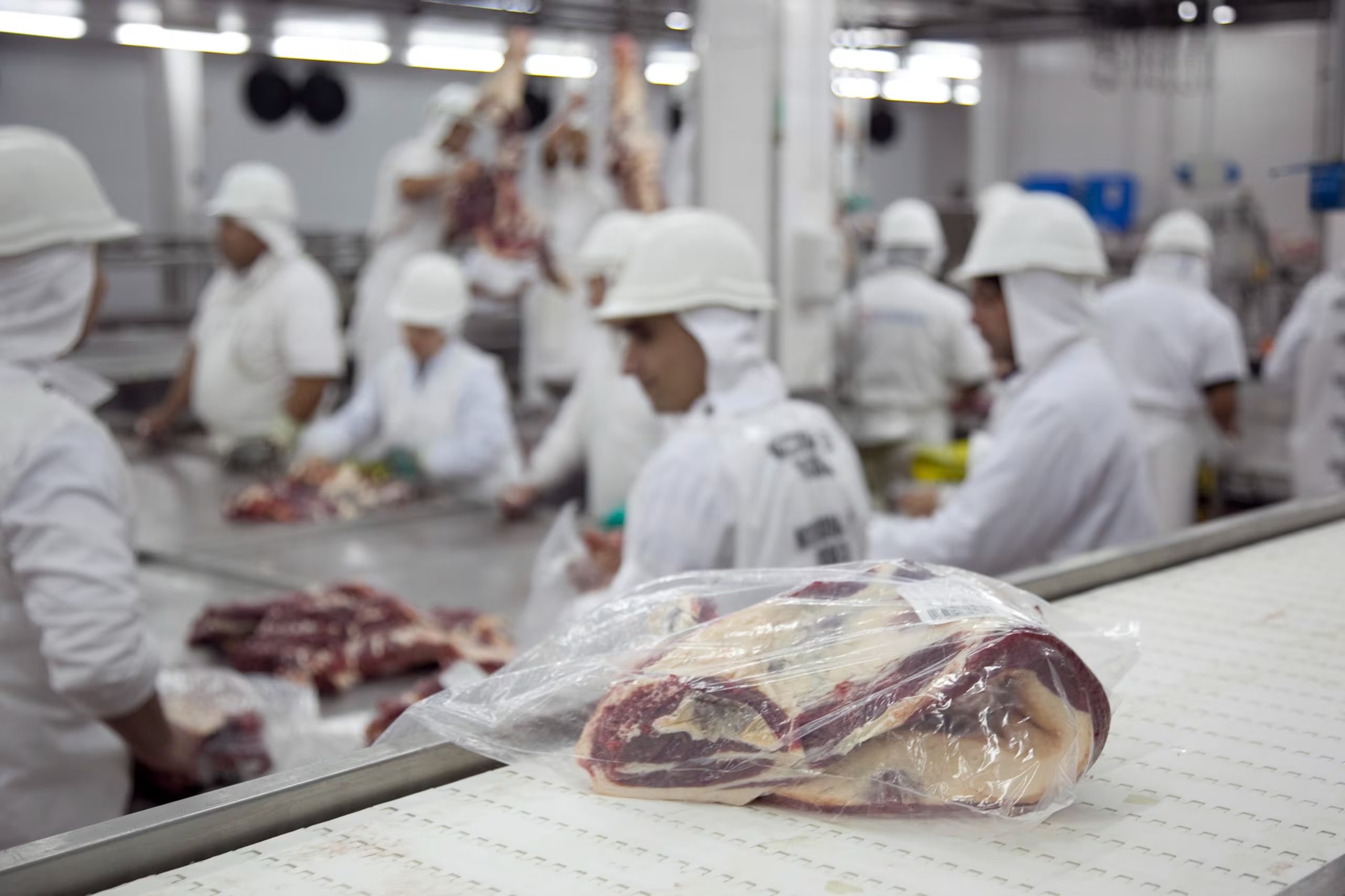Carnes, miel, azúcar y cítricos ingresarán al mercado europeo mediante cuotas preferenciales y esquemas de desgravación