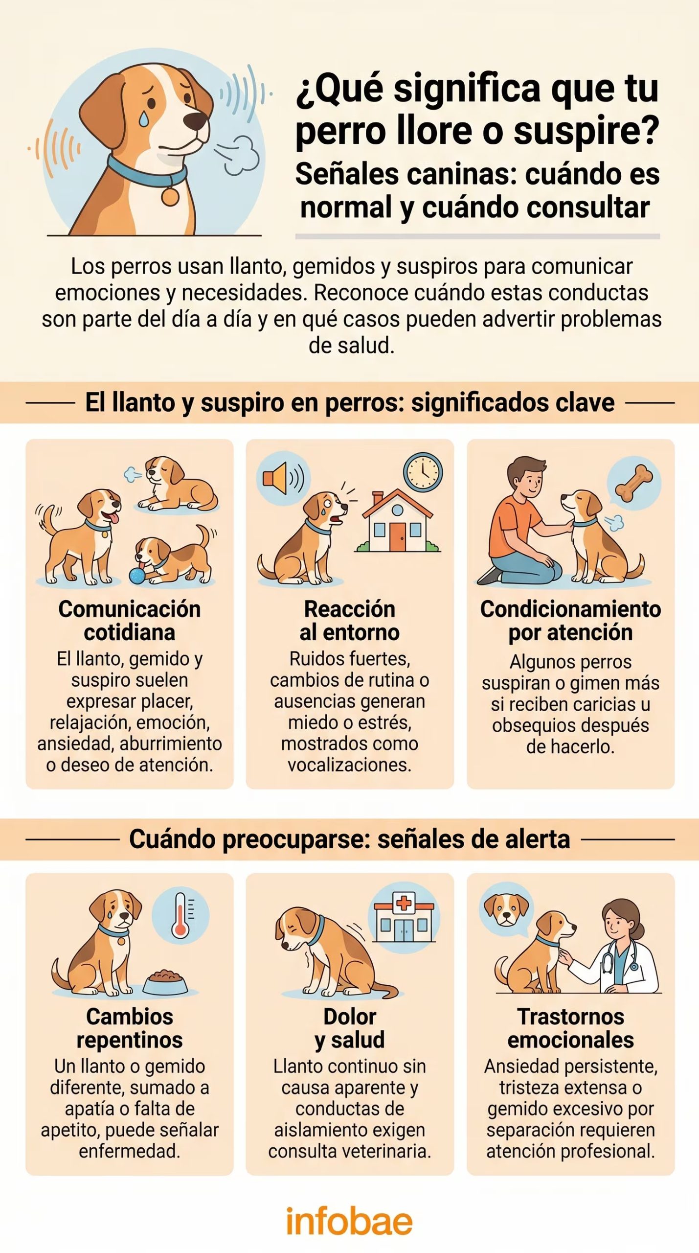 El llanto y el suspiro son conductas frecuentes en la comunicación emocional de los perros (Imagen Ilustrativa Infobae)
