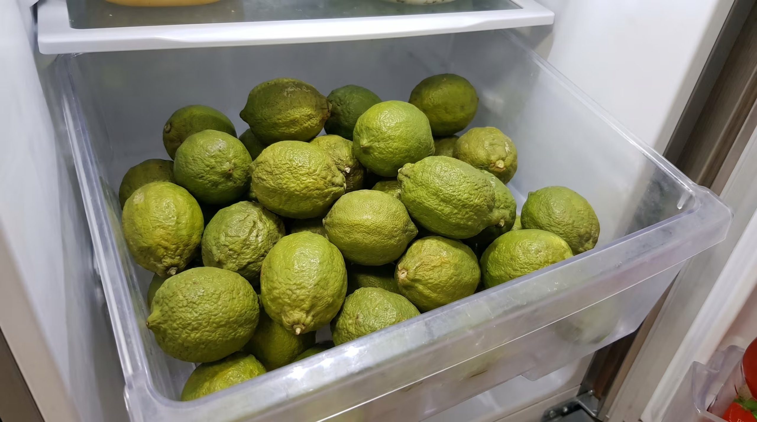 La porosidad de la cáscara hace necesario cuidar la humedad al guardar los limones - crédito (Imagen Ilustrativa Infobae)