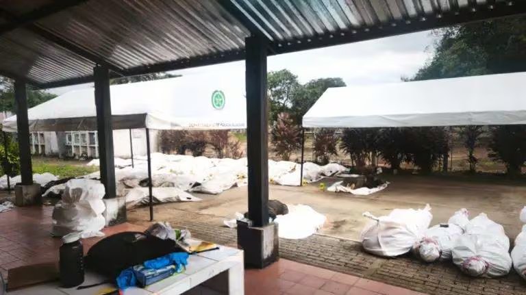 Enfrentamiento entre las disidencias de Mordisco y Calarcá dejan cerca de 48 muertos - crédito Suministrada a Infobae Colombia