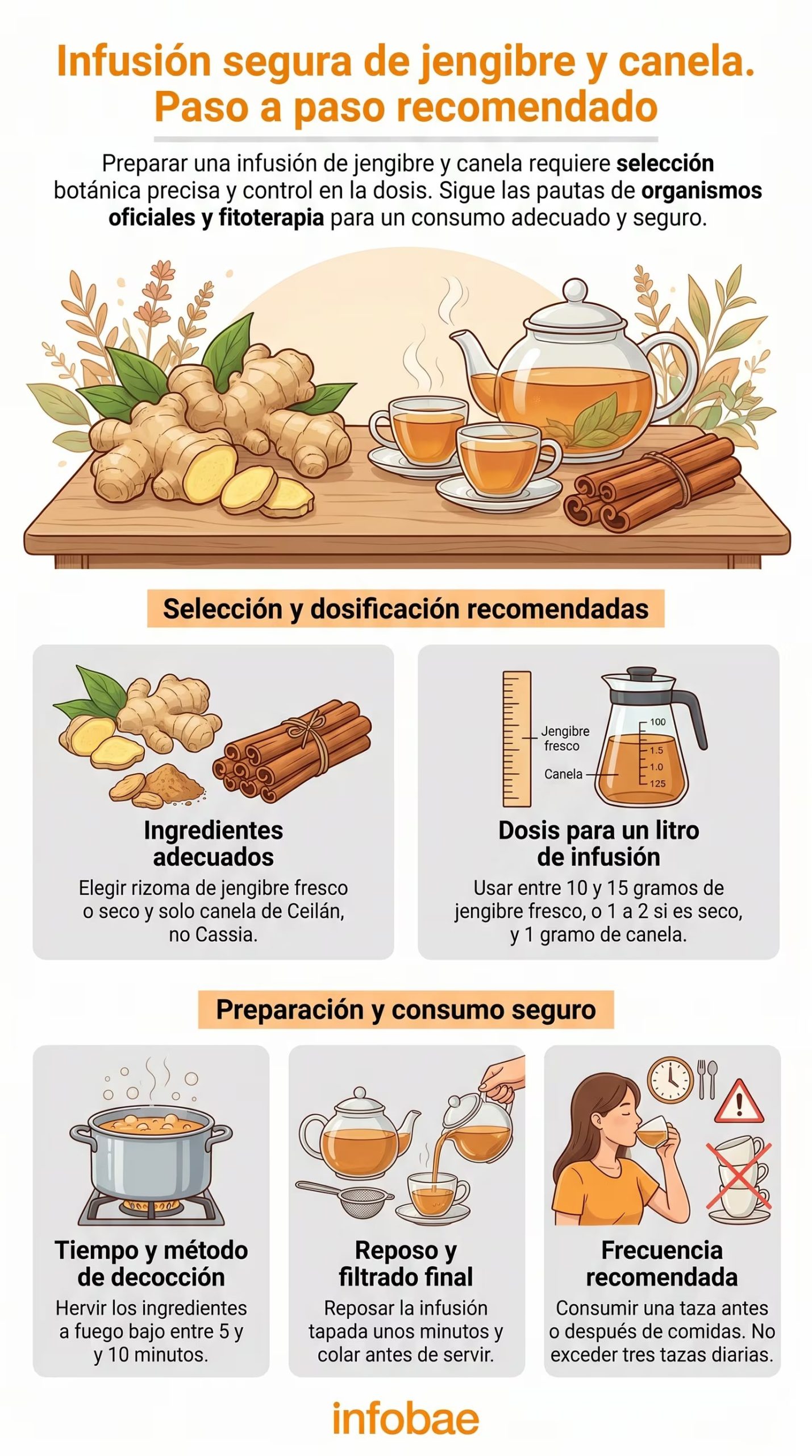 Esta infografía detalla los pasos recomendados para preparar y consumir de forma segura una infusión de jengibre y canela, incluyendo la selección de ingredientes y la dosificación adecuada. (Imagen Ilustrativa Infobae)