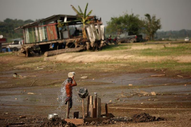 Las imágenes satelitales y datos de campo combinaron información de 57 parcelas y sensores remotos para calcular la mortalidad de árboles a escala regional./Archivo REUTERS/Bruno Kelly