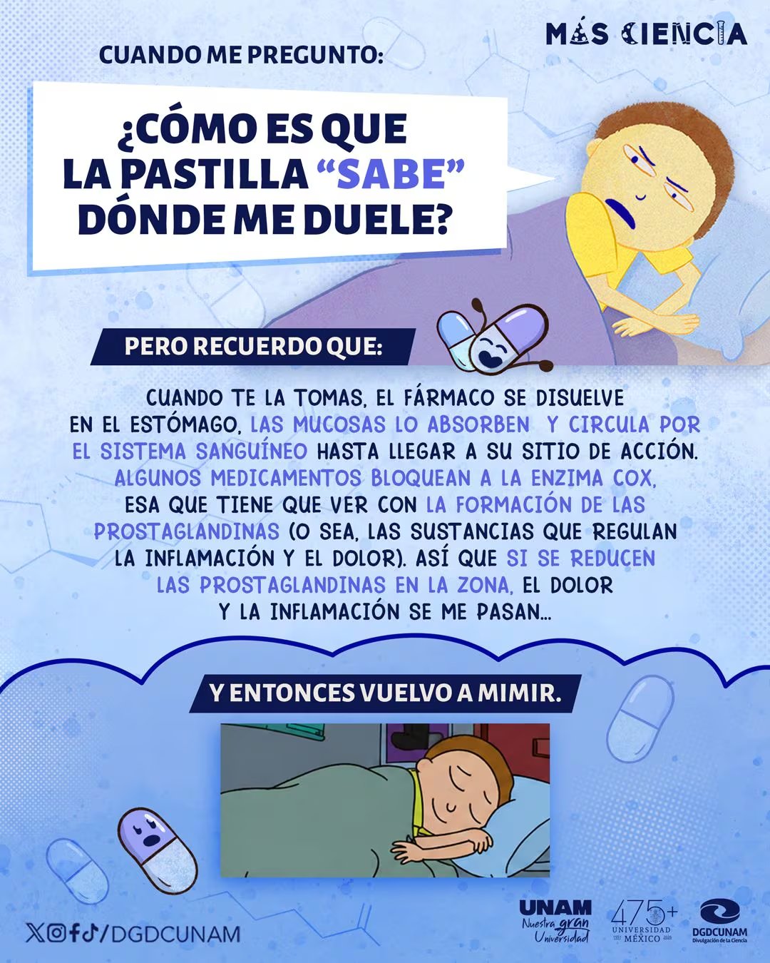 La ciencia revela que los analgésicos actúan bloqueando las prostaglandinas, sustancias responsables de la inflamación y el dolor, circulando por el sistema sanguíneo hasta su sitio de acción (X/@DGDCUNAM)
